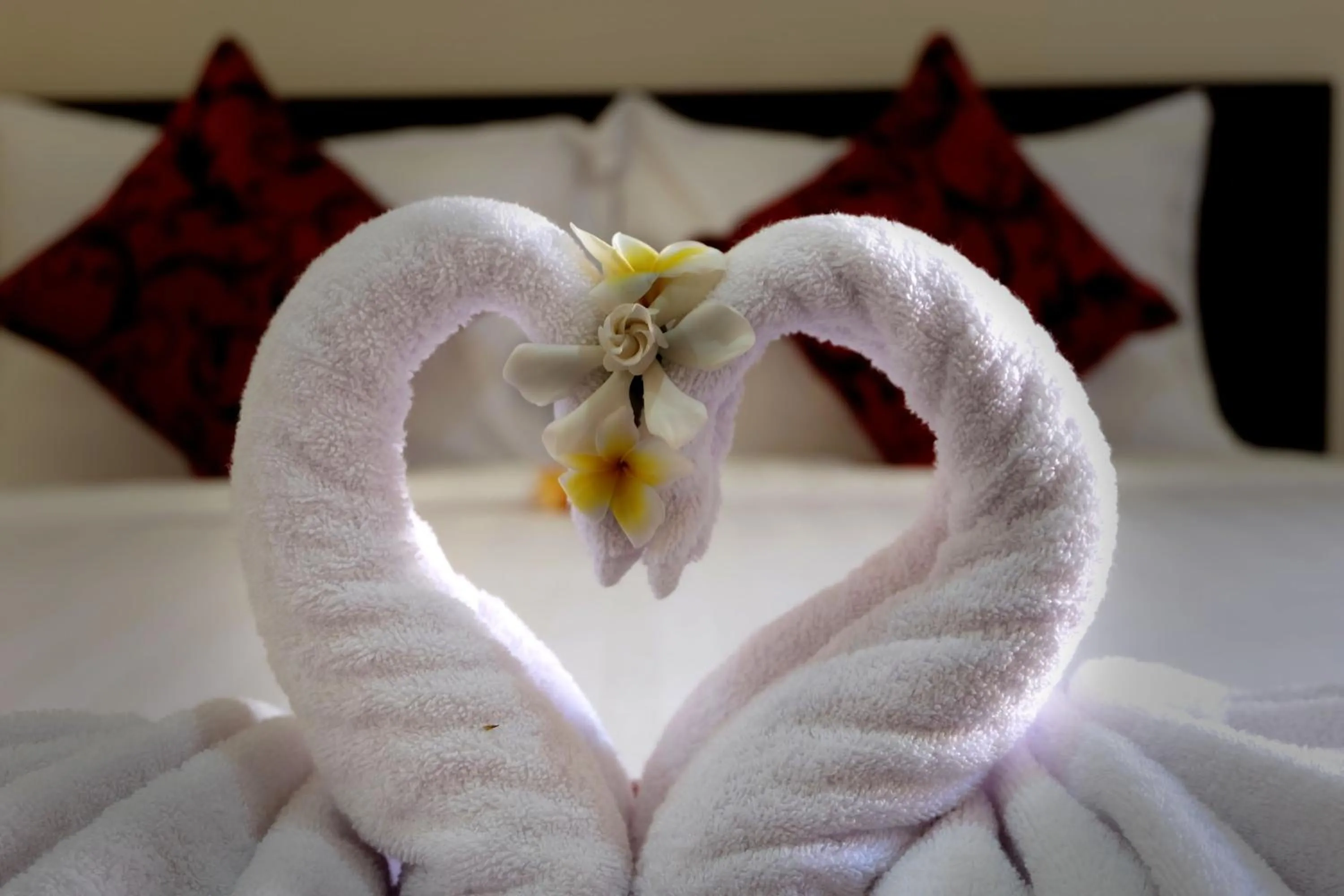 Bedroom, Bed in Tom's Inn Pecatu