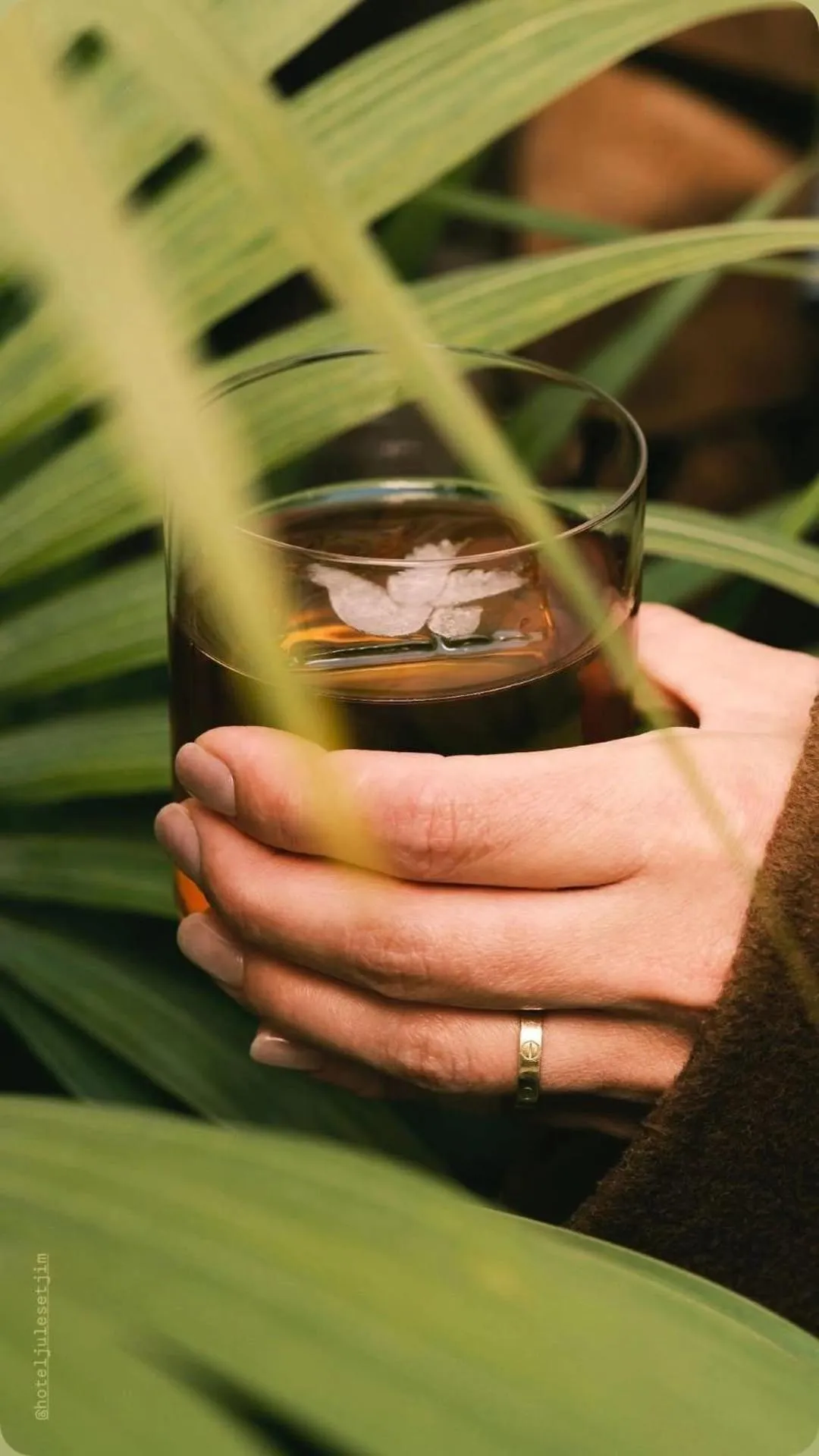 Lounge or bar in Hôtel Jules & Jim