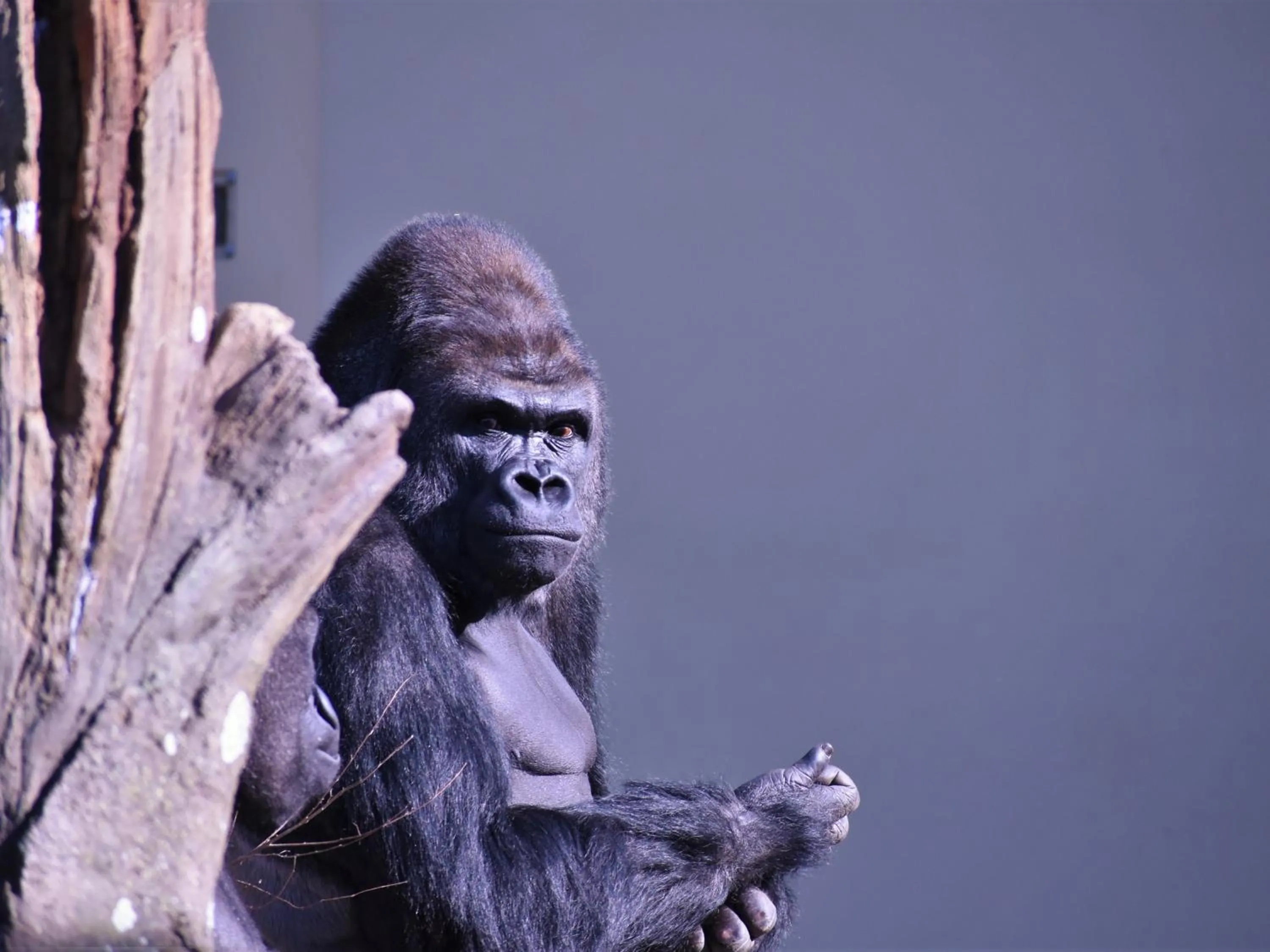 Nearby landmark in Vessel Hotel Campana Nagoya