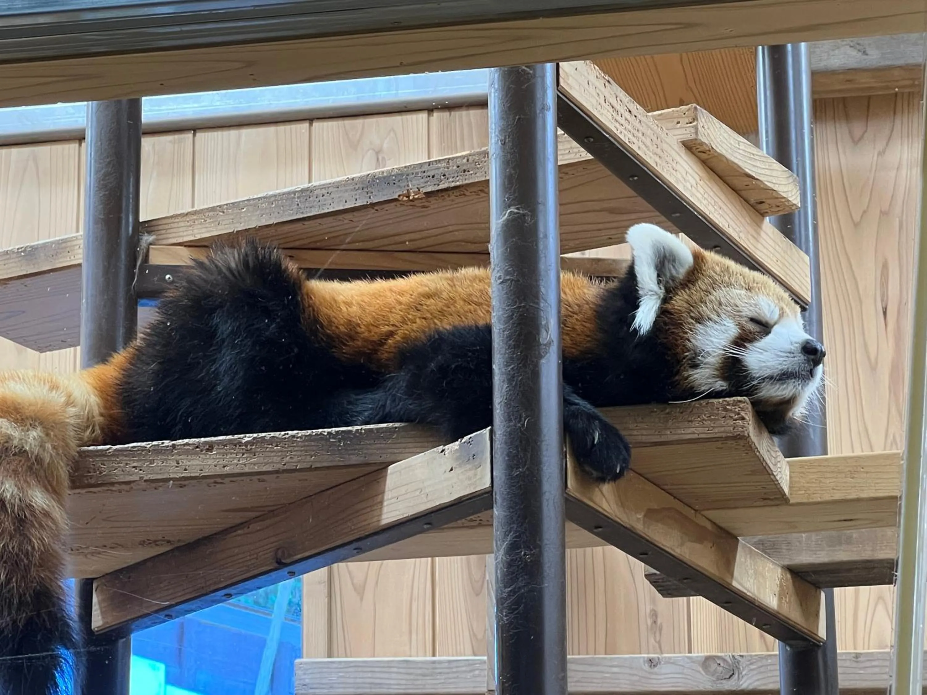 Nearby landmark in Vessel Inn Sakae Station