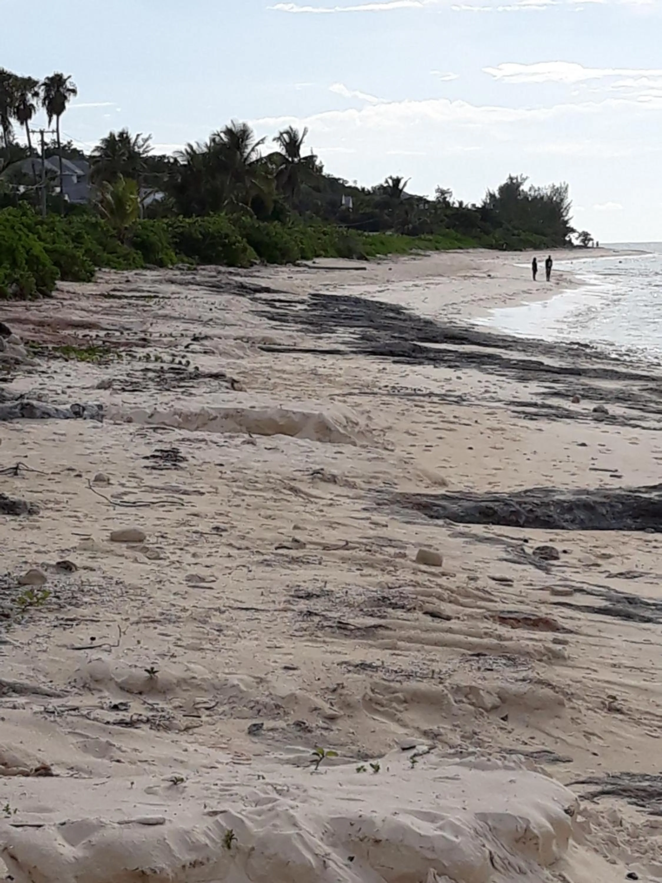 Beach in BELL At The Airport Suites Adults Only - Free Airport Transportation