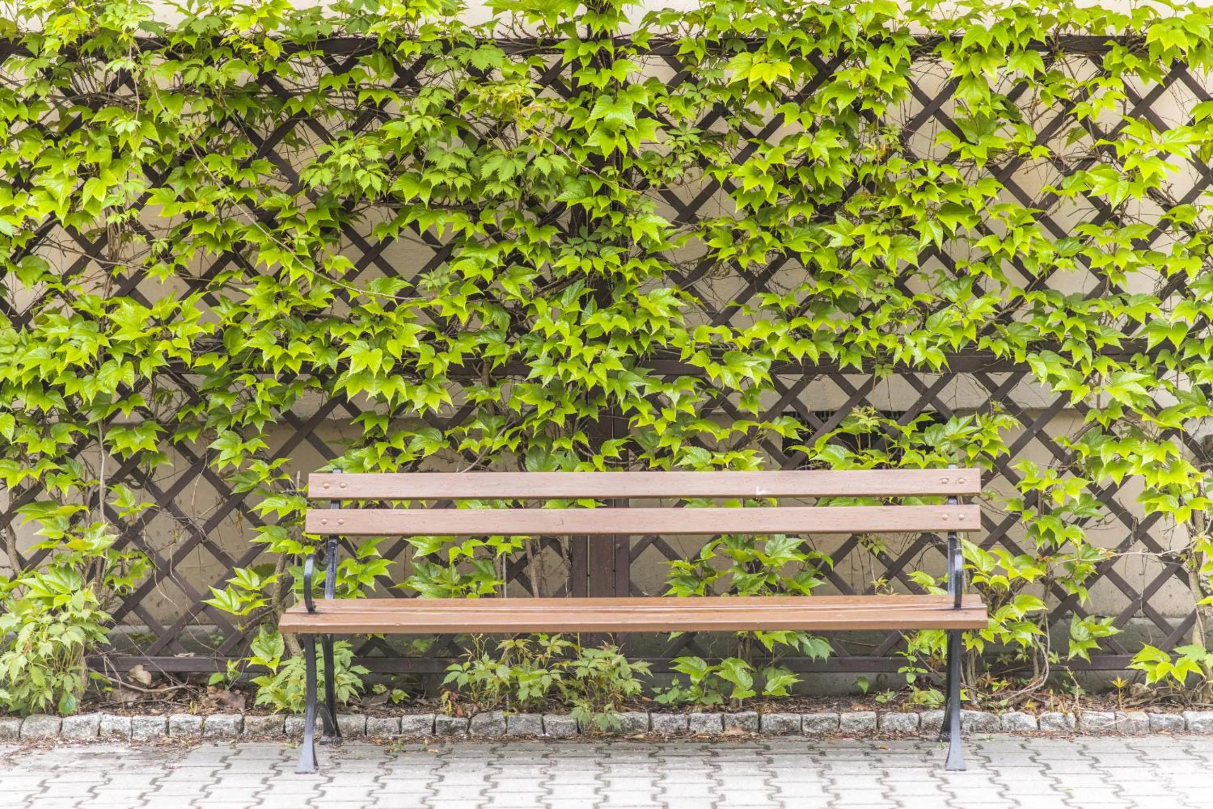 Property building in SCSK Brzeźno