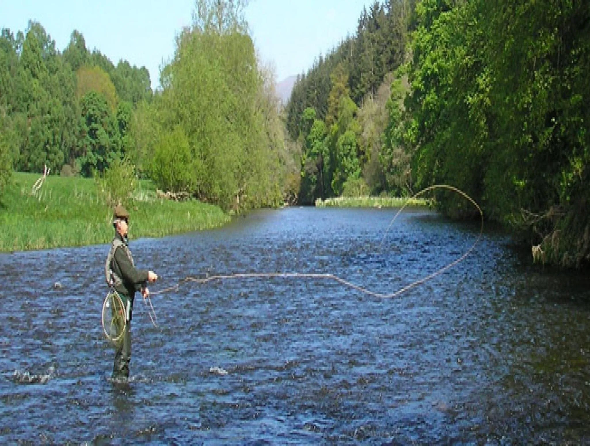 Fishing in Black Swan