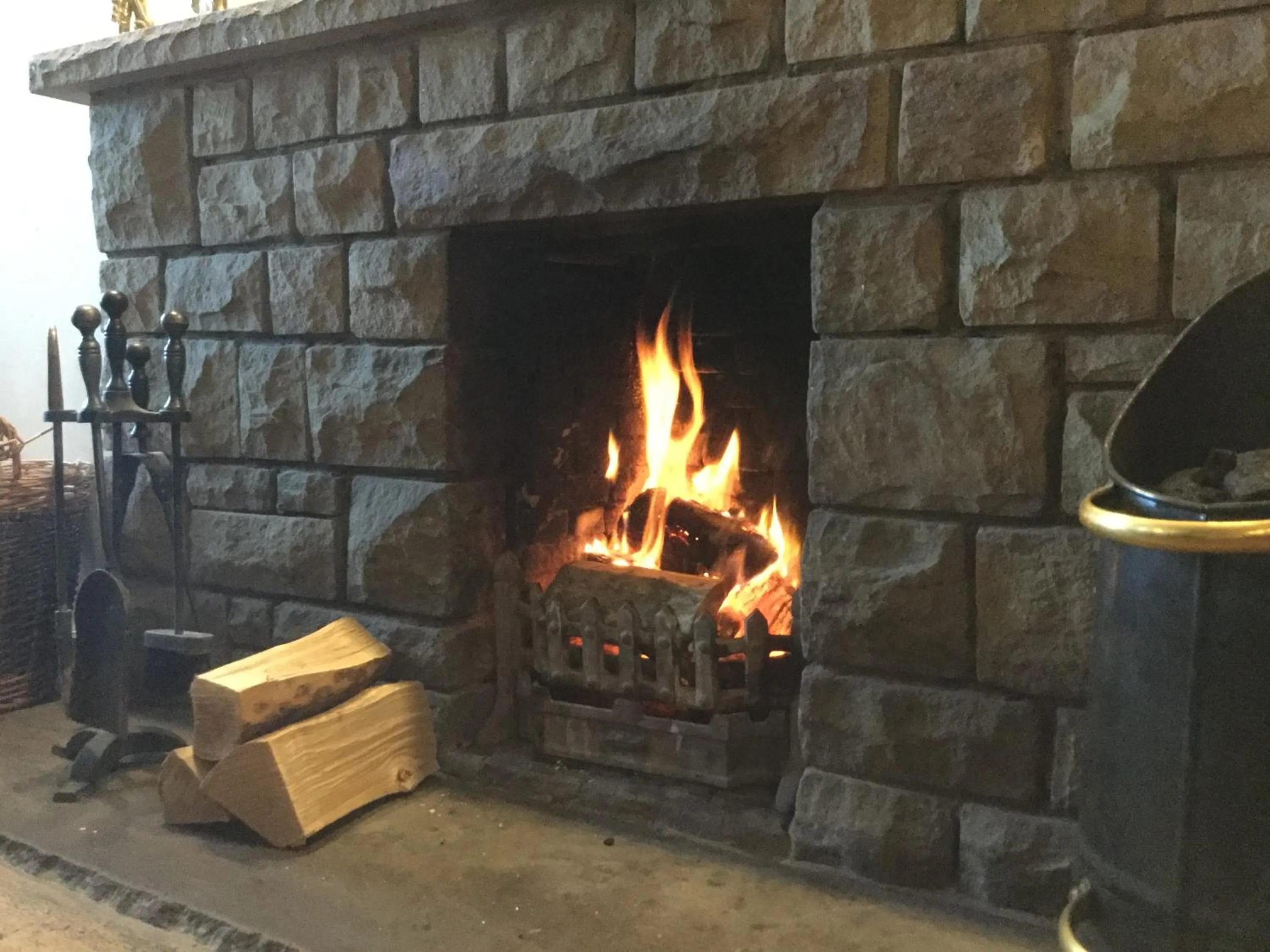 Lounge or bar in Black Swan