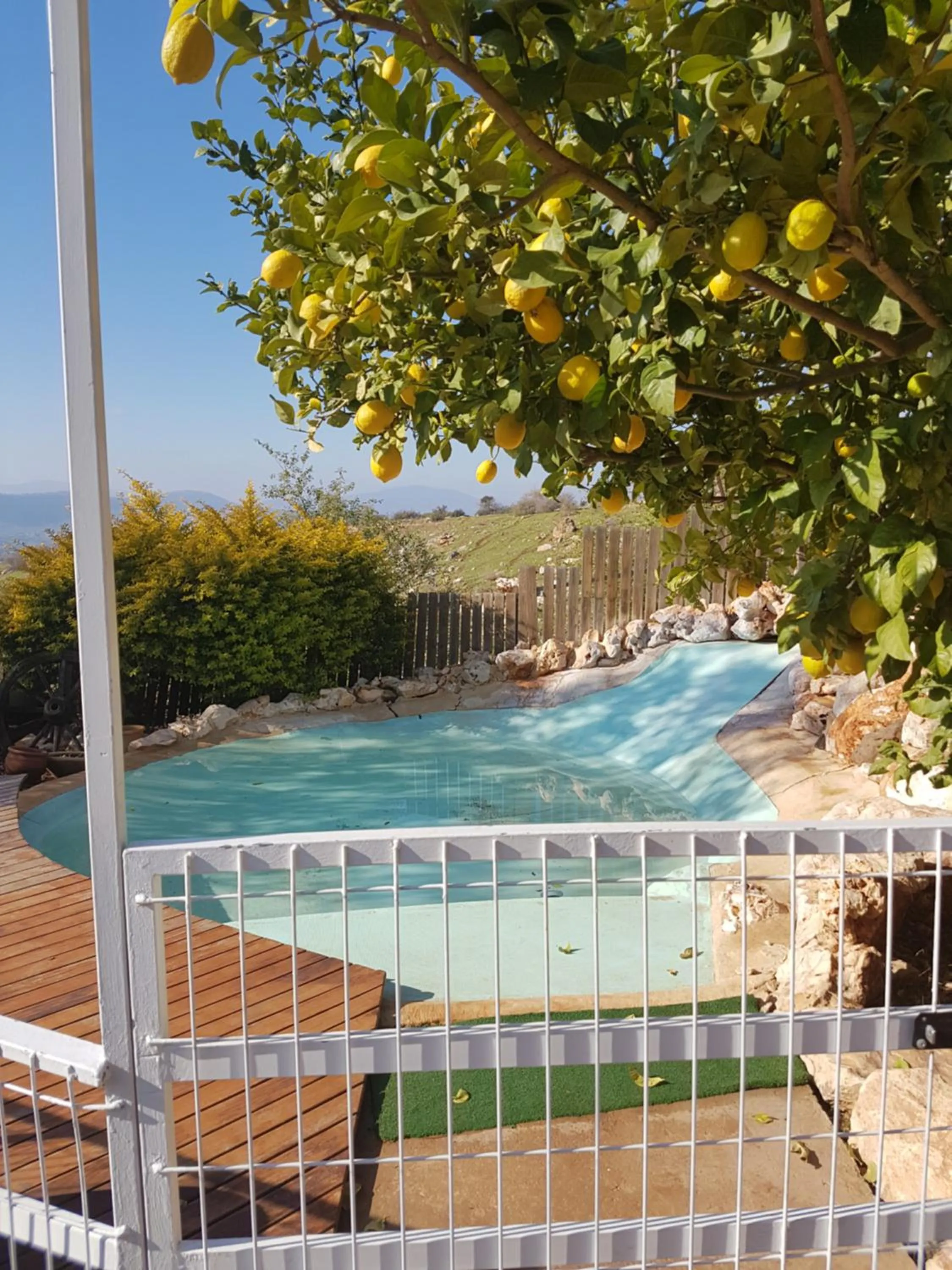 Natural landscape in Betzel Ha'Ella