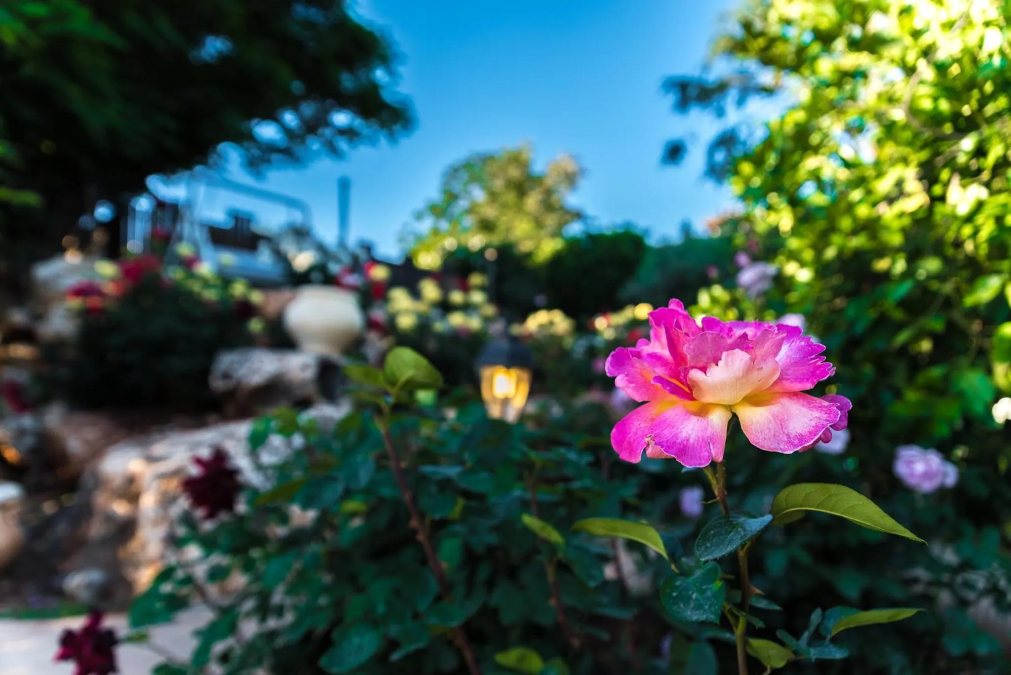 Garden in Betzel Ha'Ella