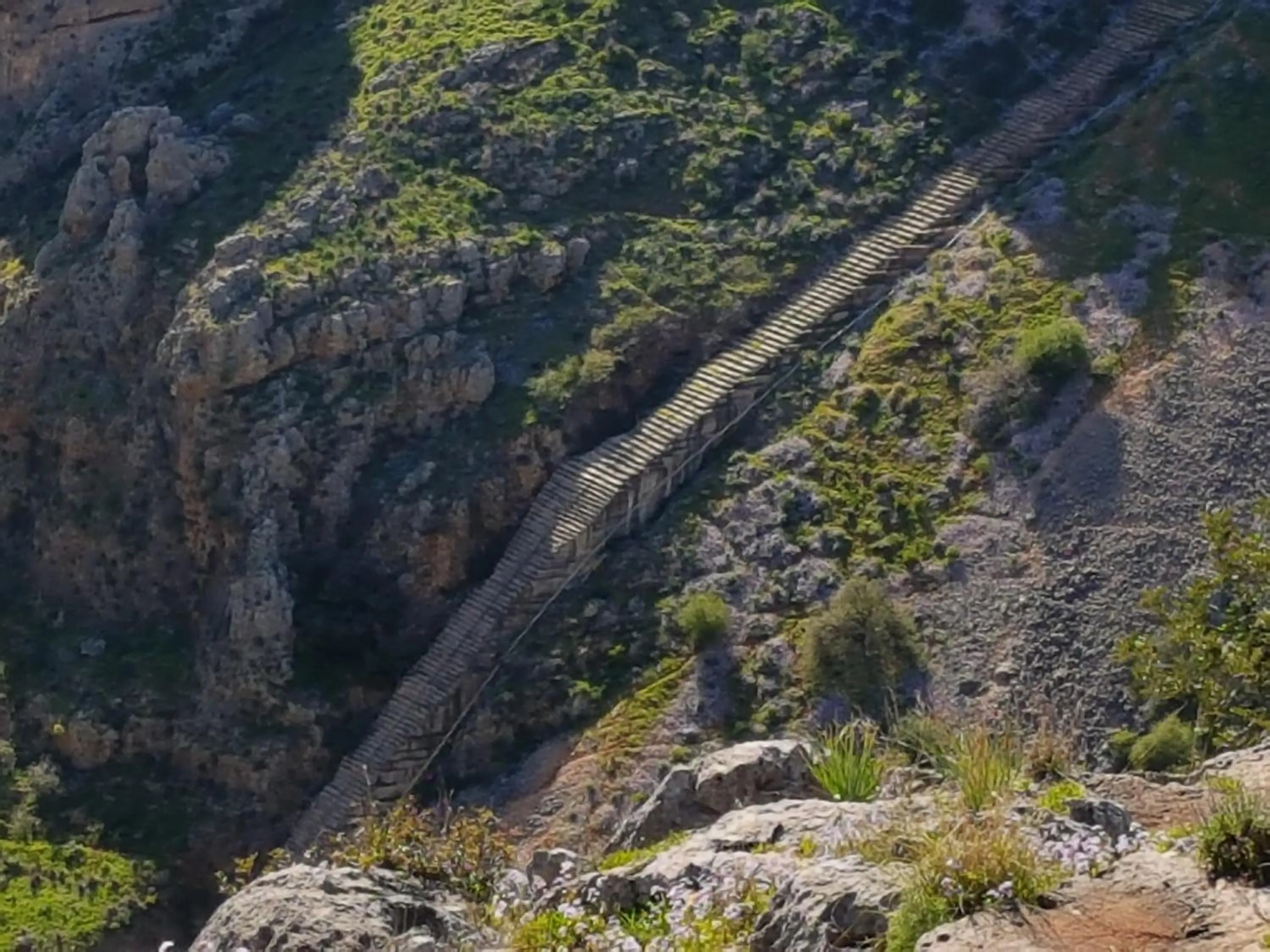 Natural landscape in Betzel Ha'Ella