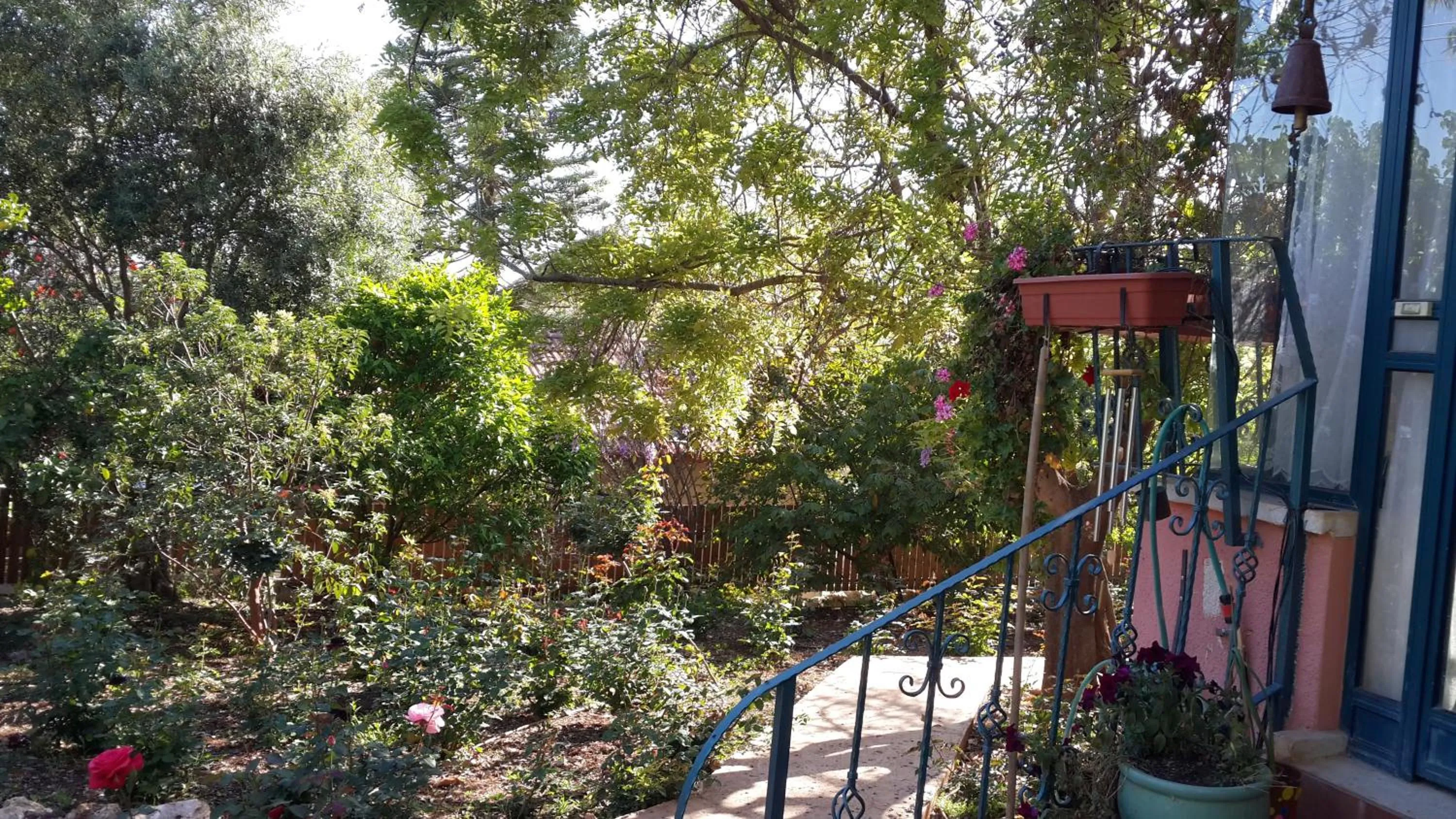 Garden in Betzel Ha'Ella