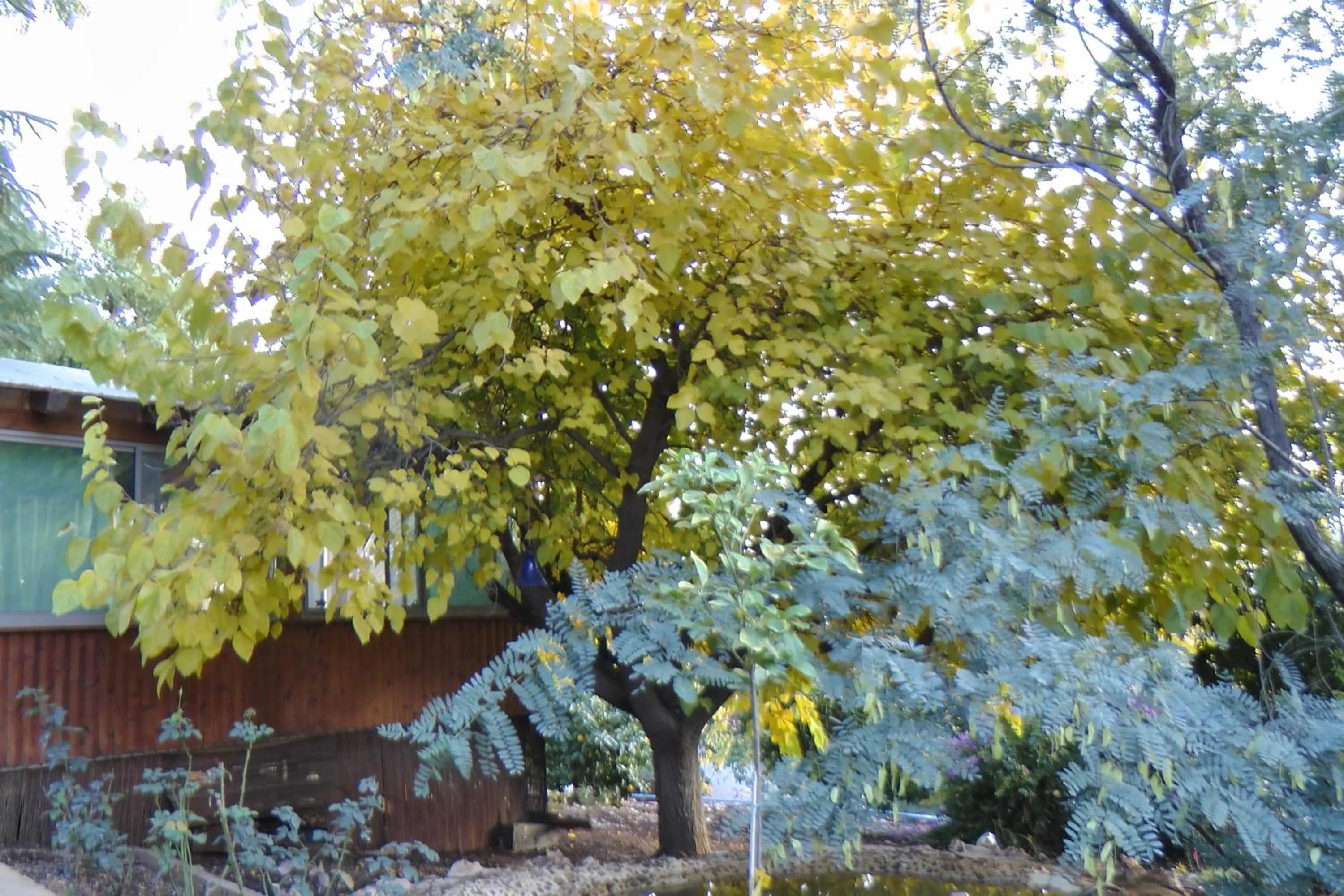 Autumn in Betzel Ha'Ella