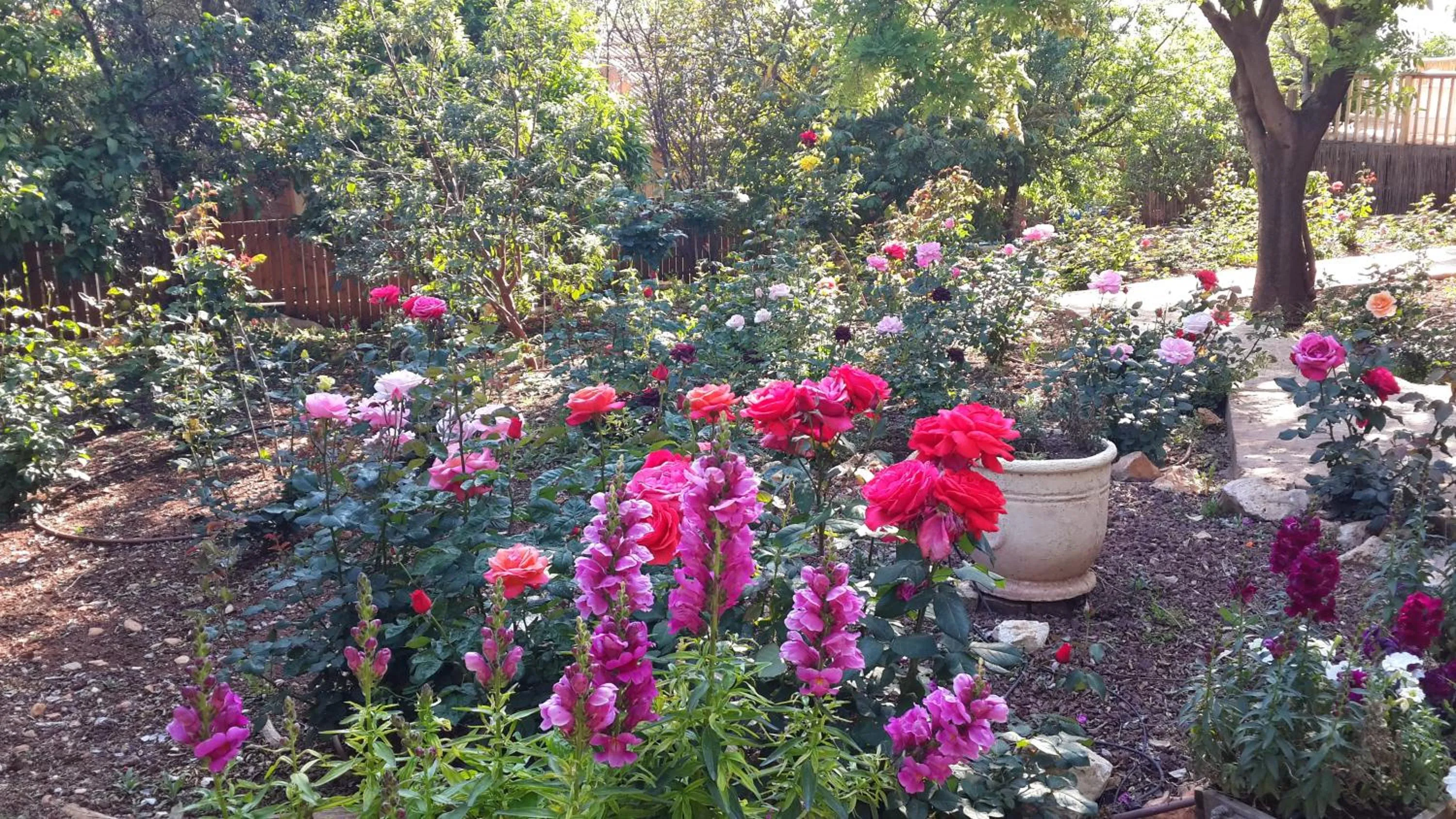 Garden in Betzel Ha'Ella