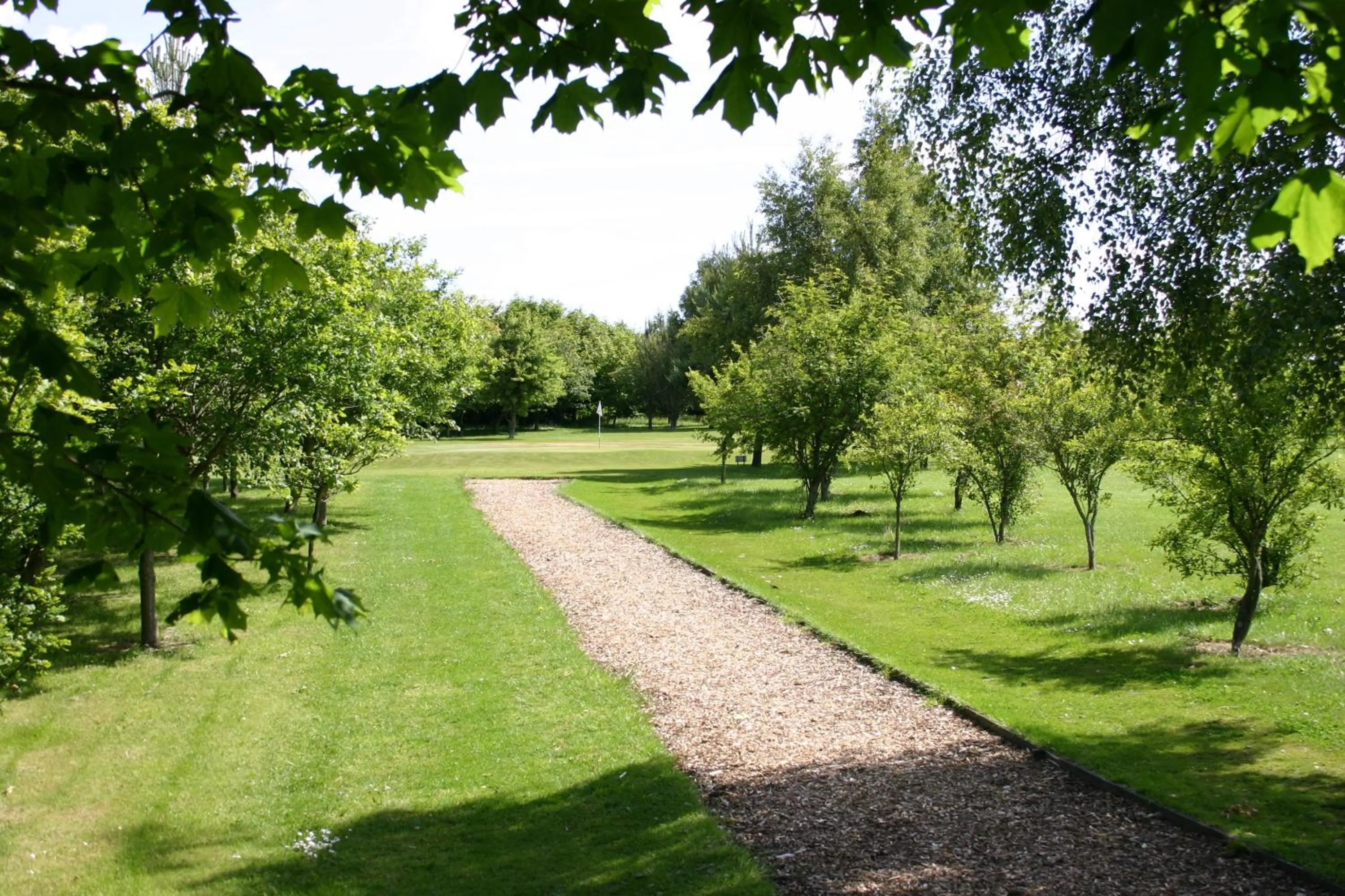 Golfcourse in Beamish Park Hotel