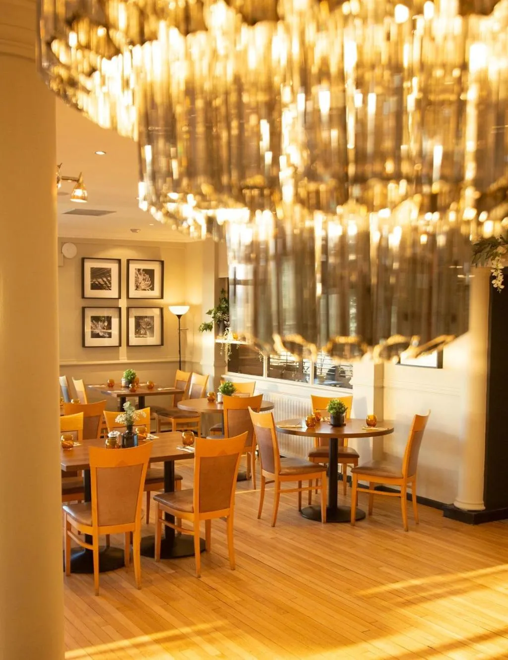 Restaurant/places to eat in Beamish Park Hotel