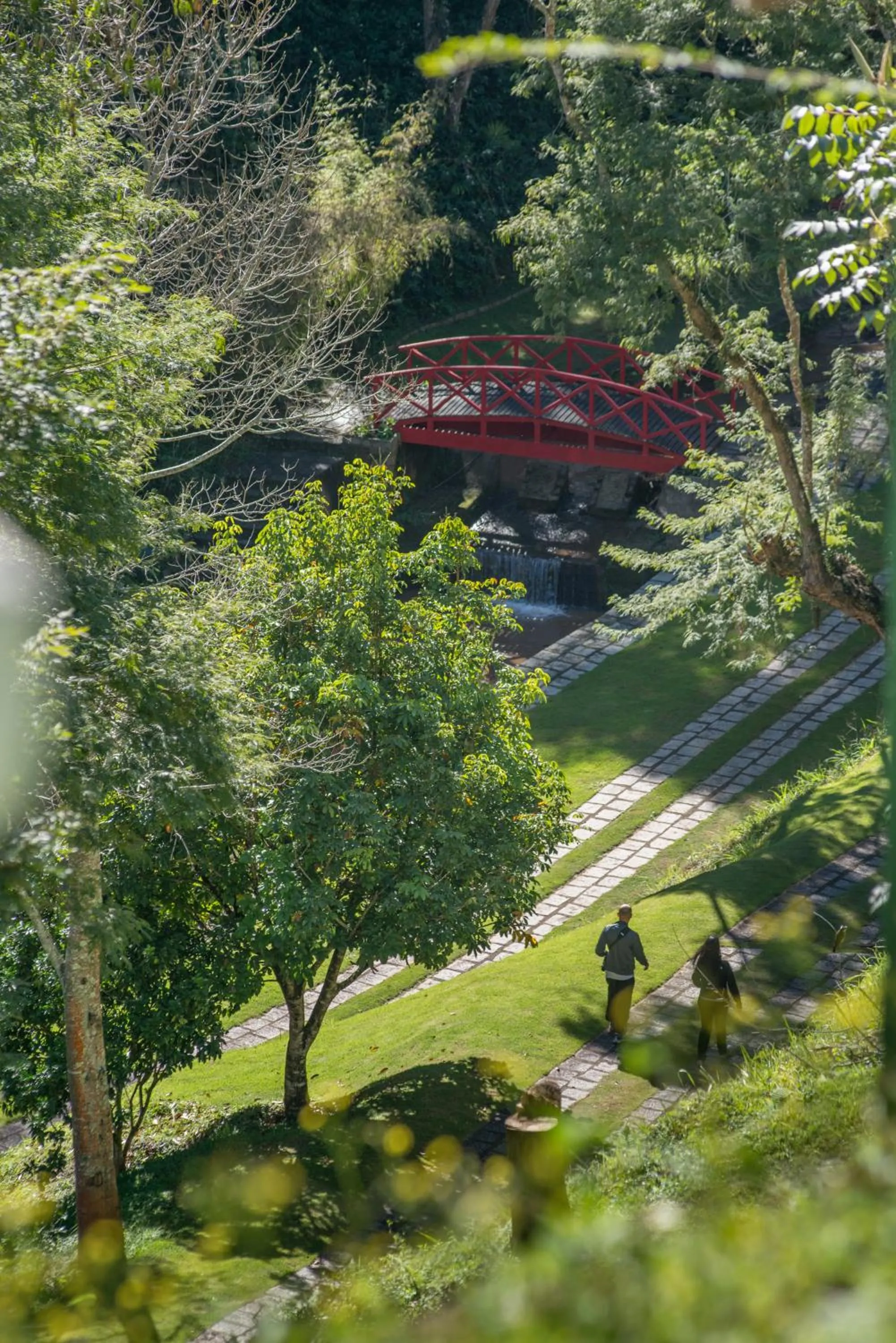 Natural landscape in Quinta da Paz Resort