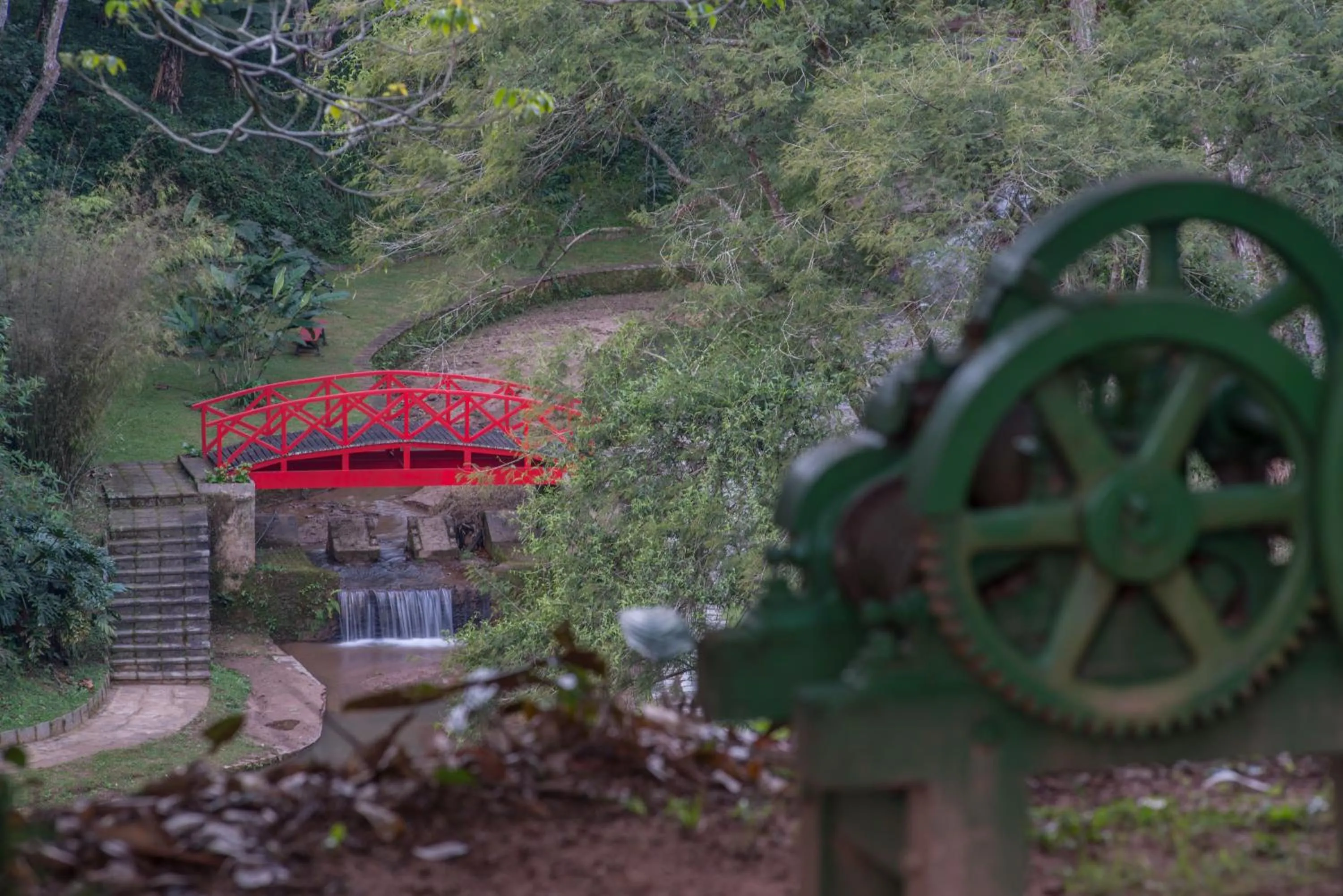Natural landscape in Quinta da Paz Resort