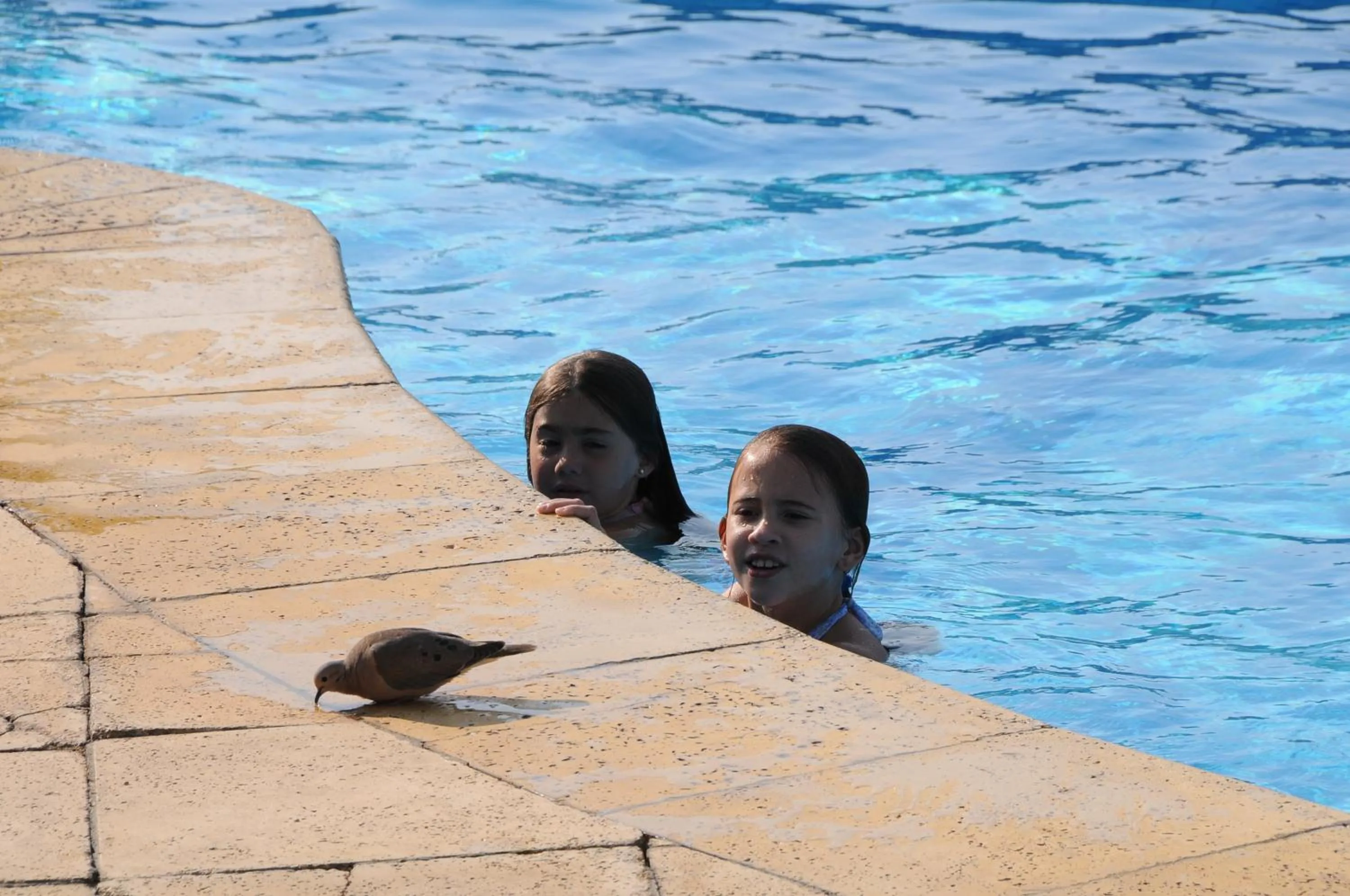 People in Arapey Oasis Termal Hotel