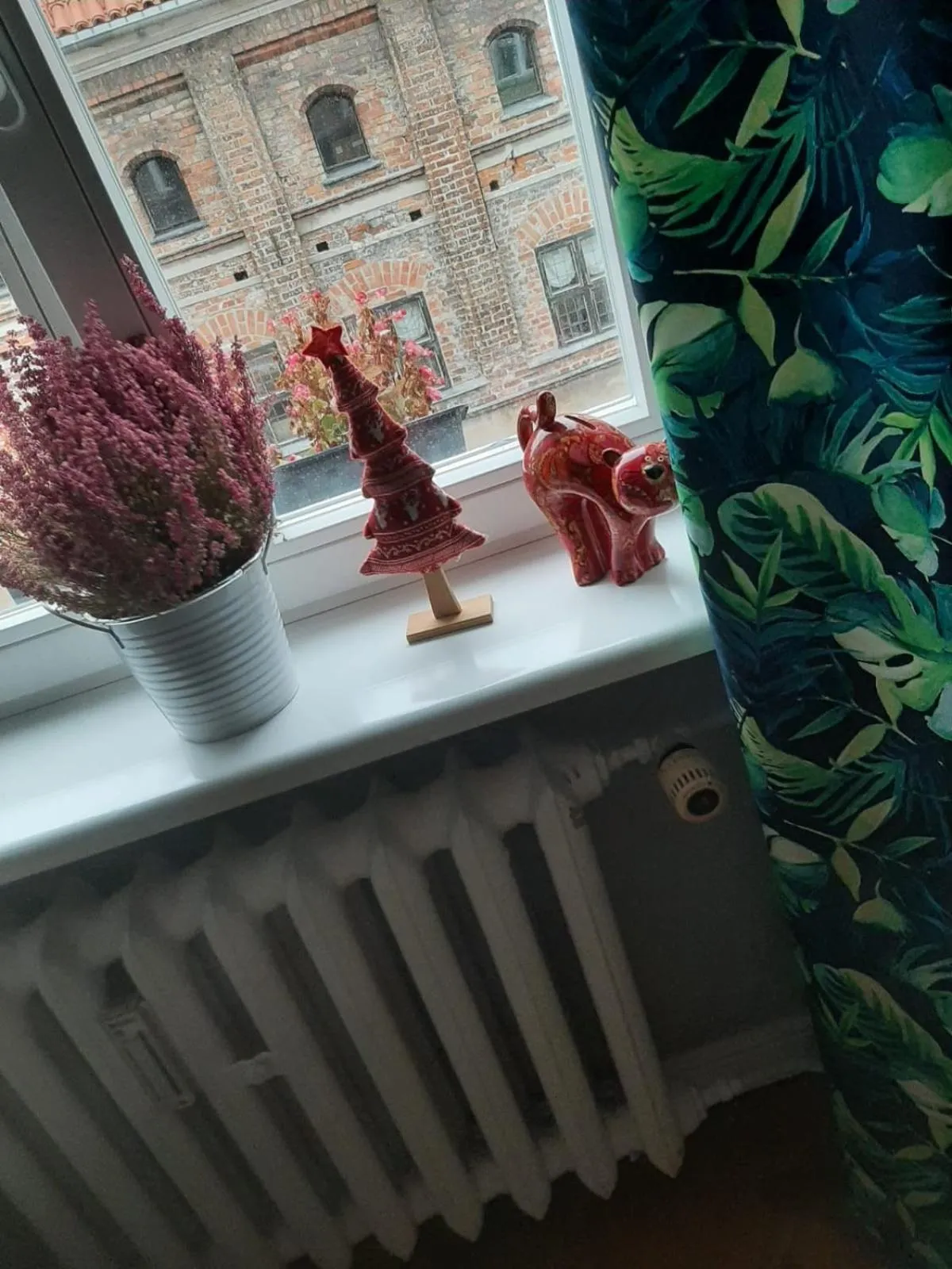 Apartament Koci Łeb