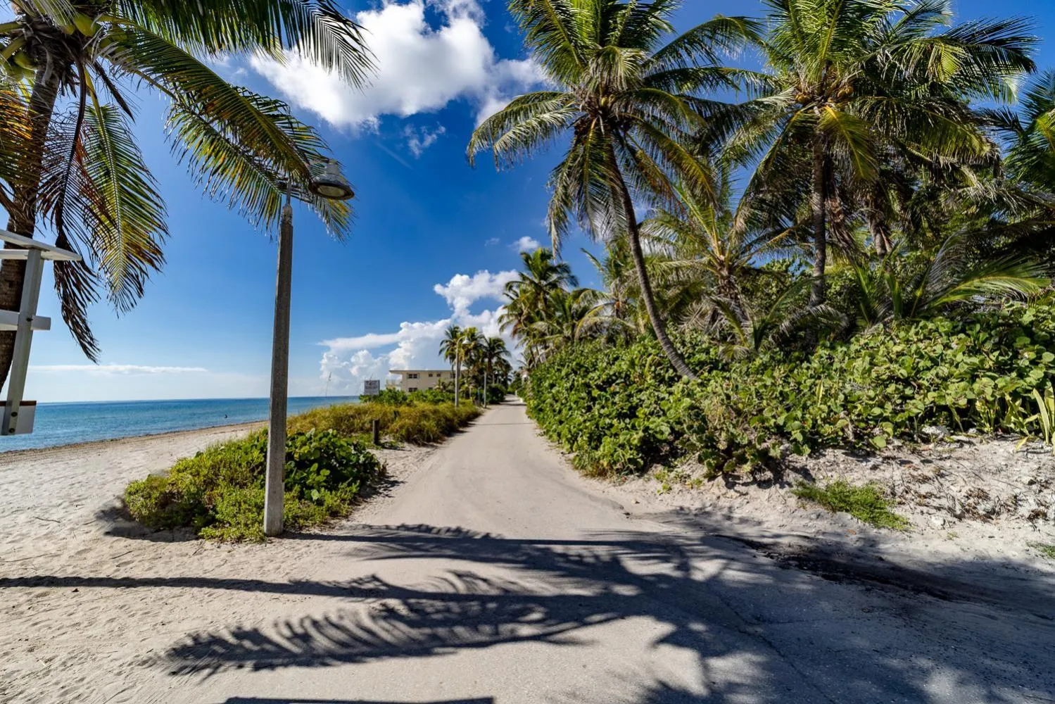 Spring in The Desoto - Oceanview Inn