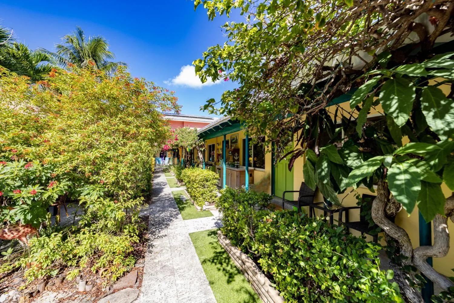 Garden in The Desoto - Oceanview Inn