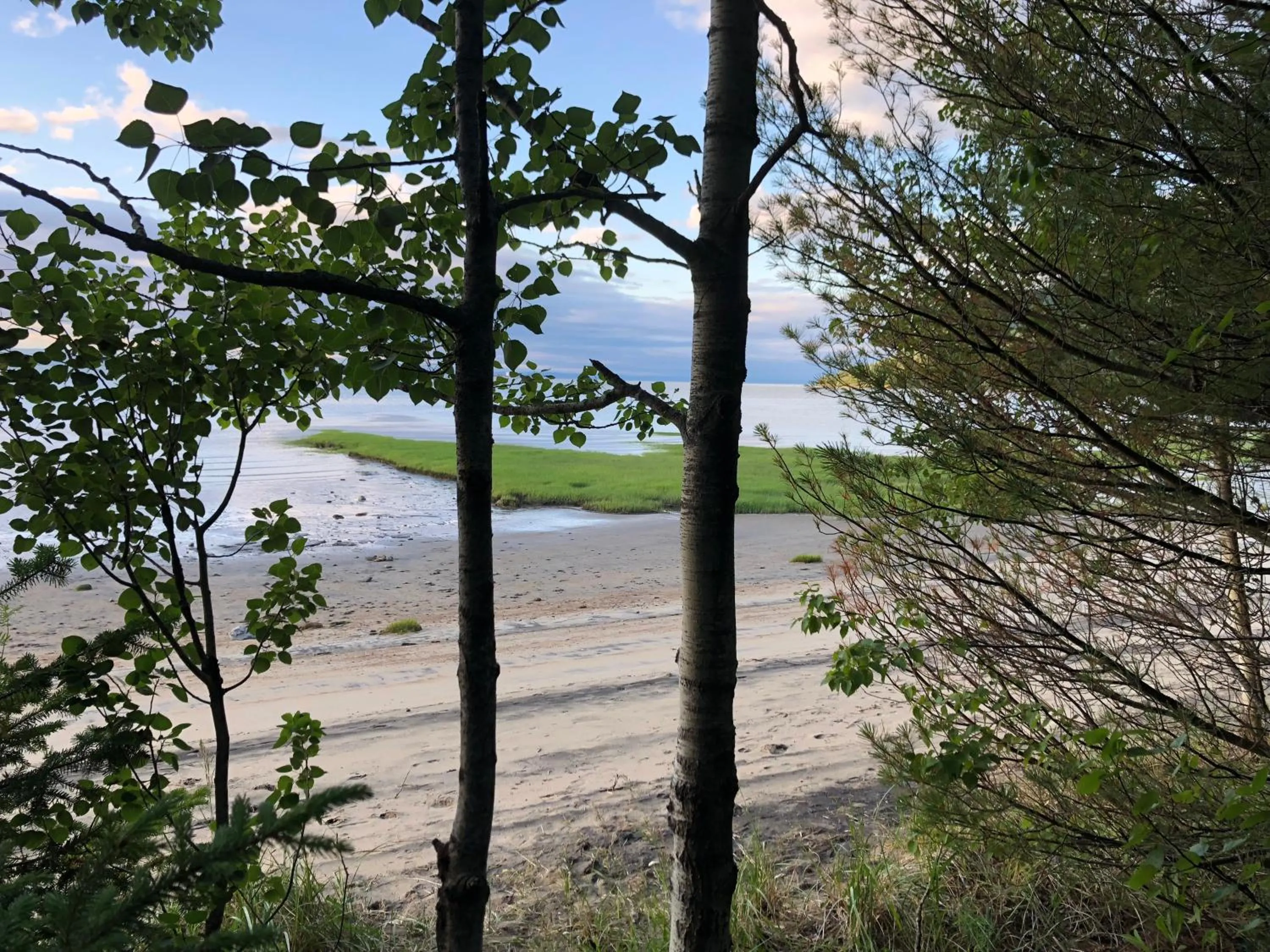 Beach in Domaine Belle Plage