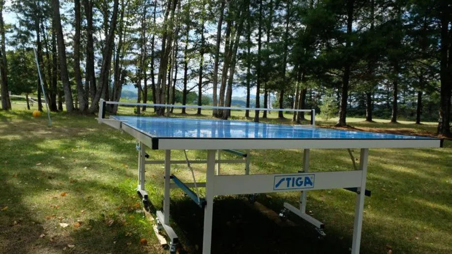 Table tennis in Domaine Belle Plage
