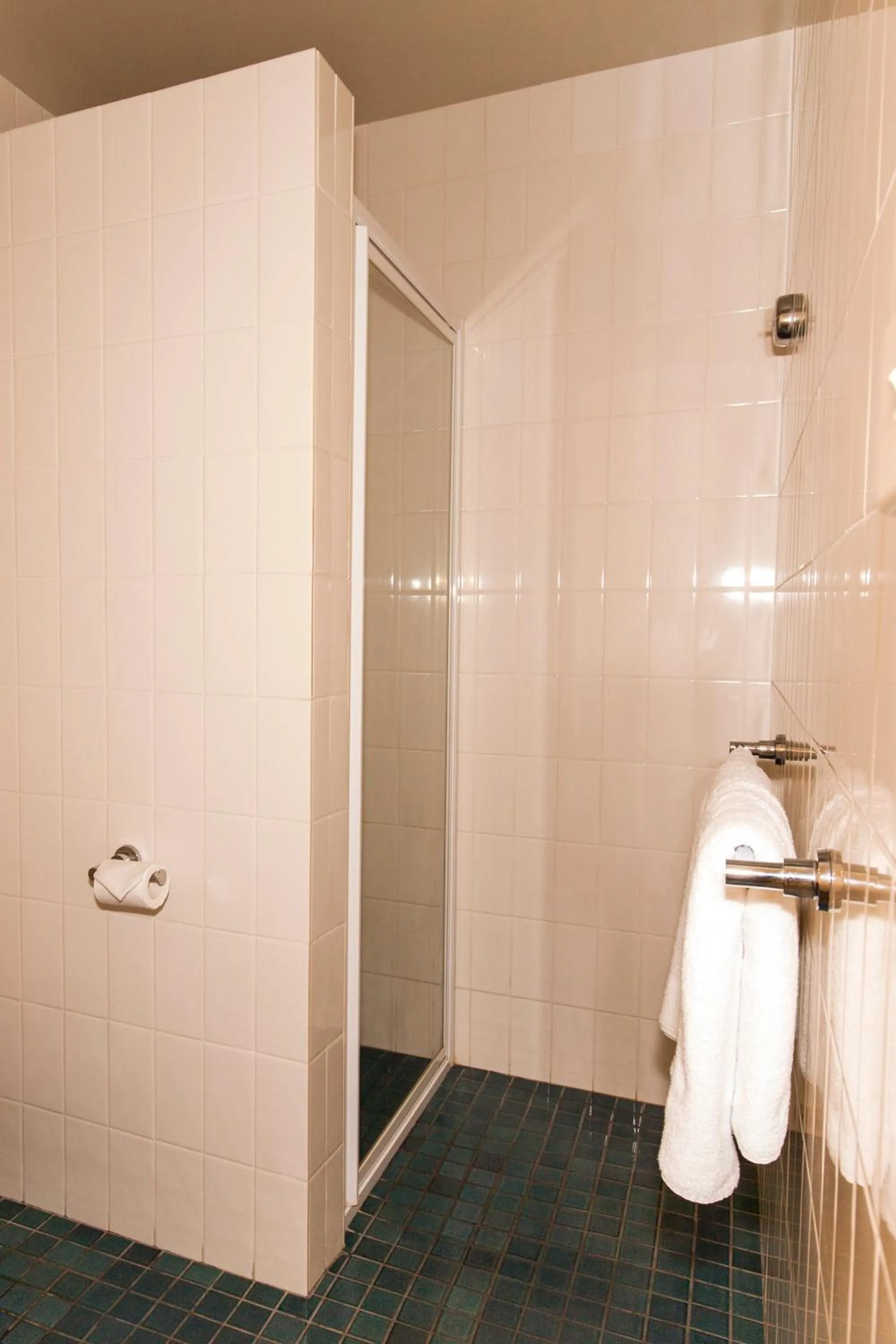 Bathroom in Echuca Nirebo Motel