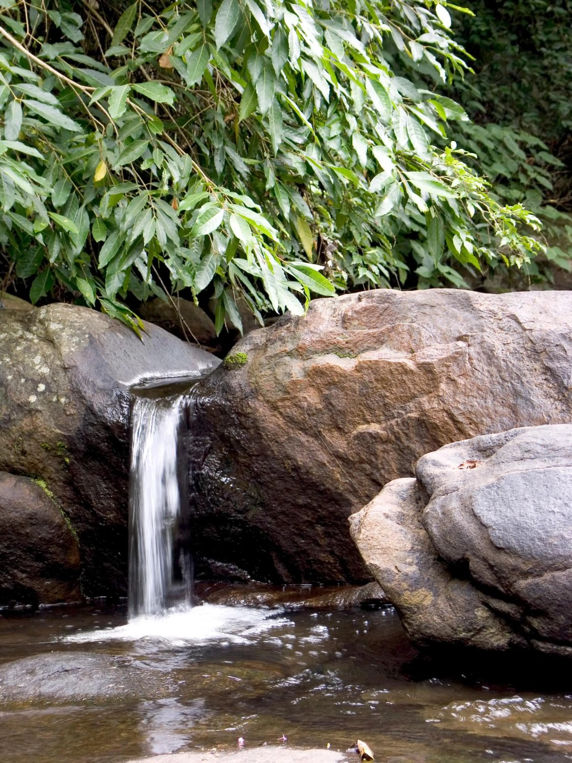 View (from property/room) in Elephant Valley Eco Farm Hotel