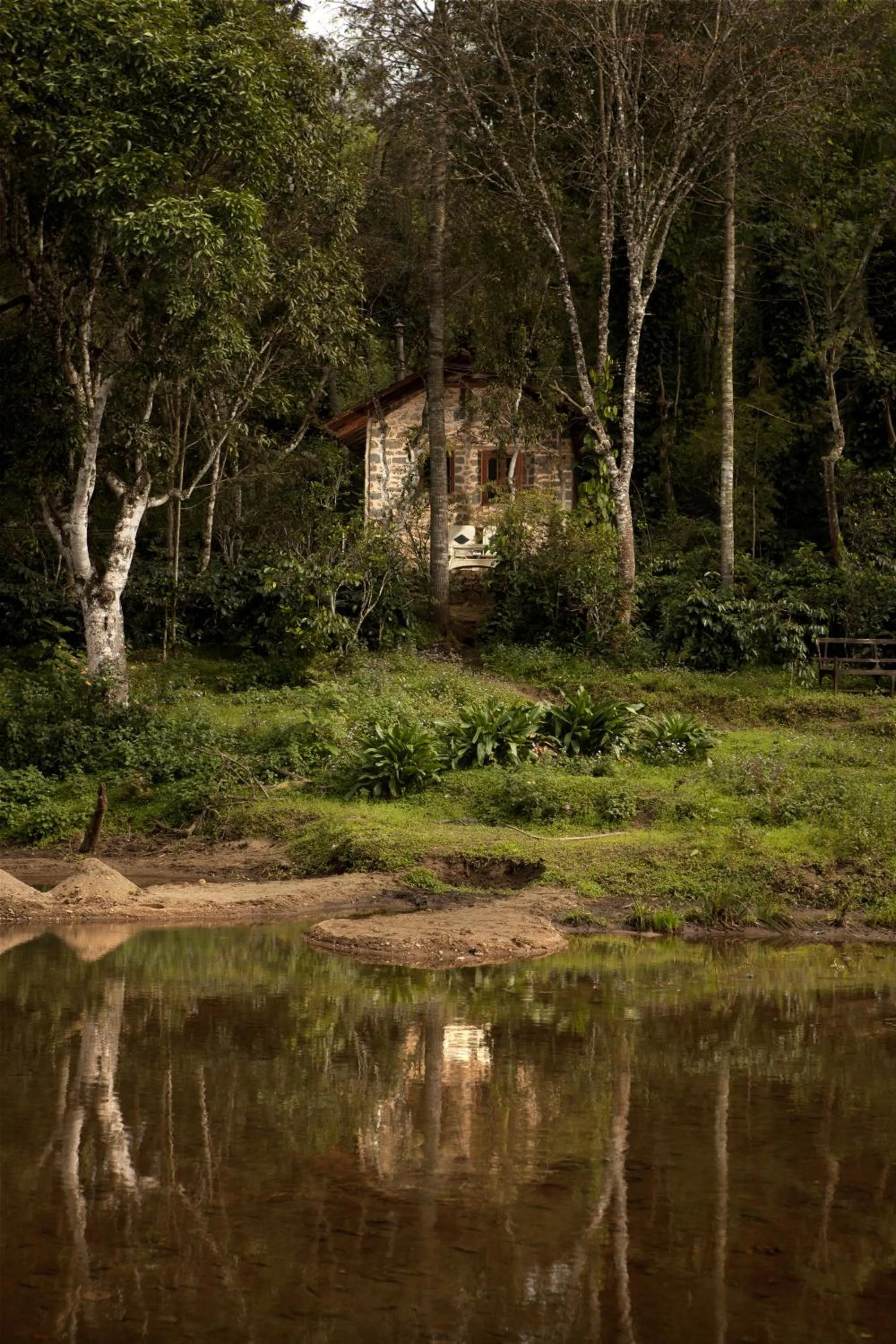 Summer in Elephant Valley Eco Farm Hotel