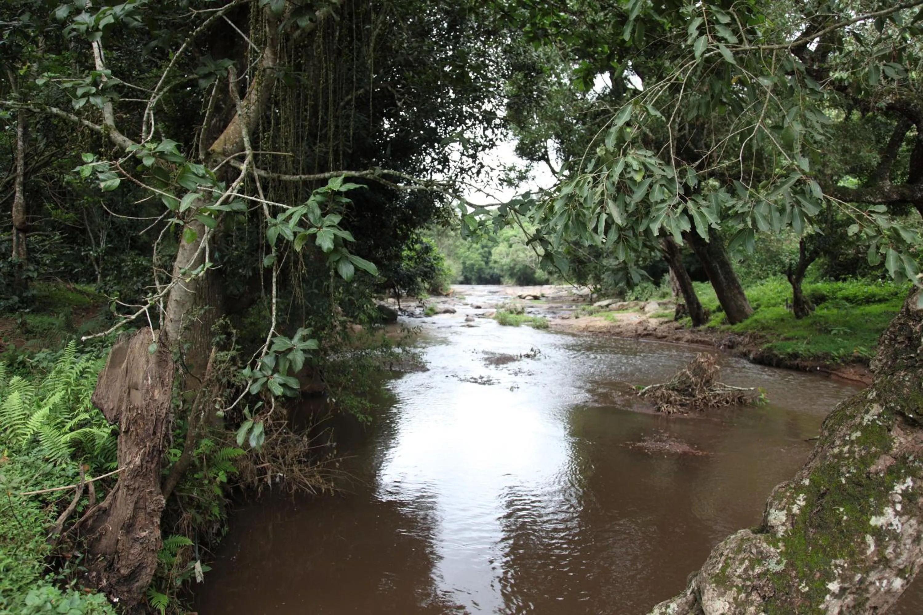 Spring in Elephant Valley Eco Farm Hotel