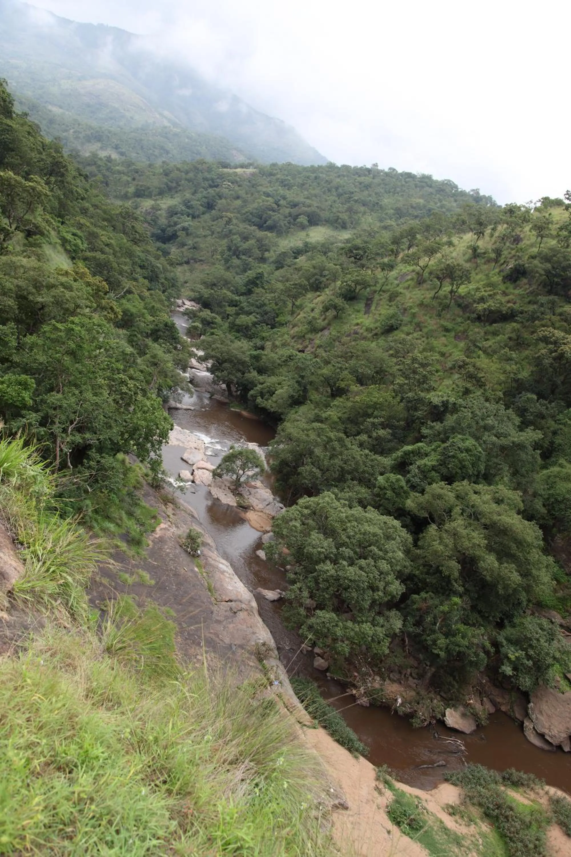 Natural landscape in Elephant Valley Eco Farm Hotel