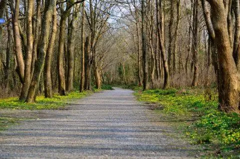 Zoe Bistro & Accommodation