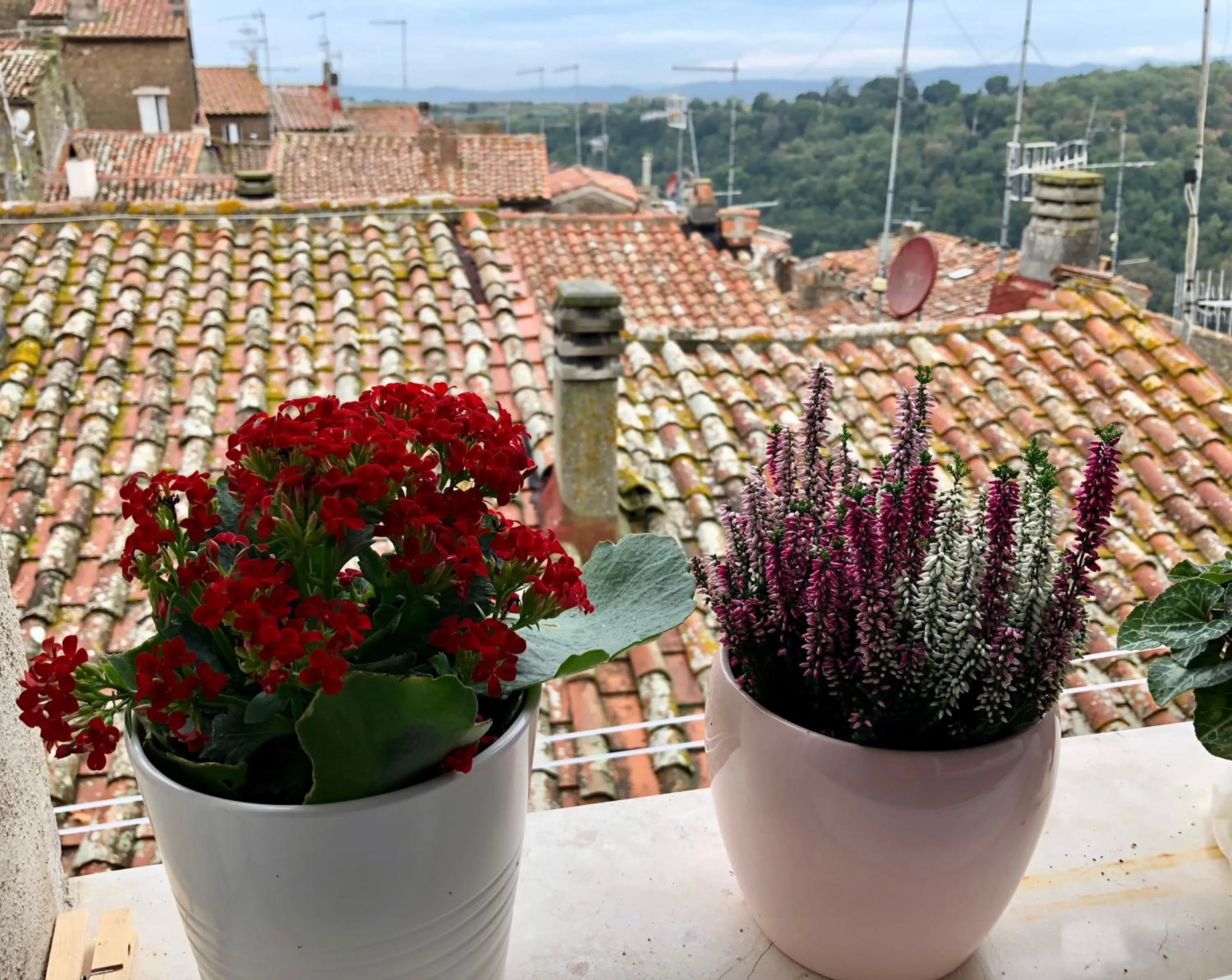 View (from property/room) in B&B Dimor'à