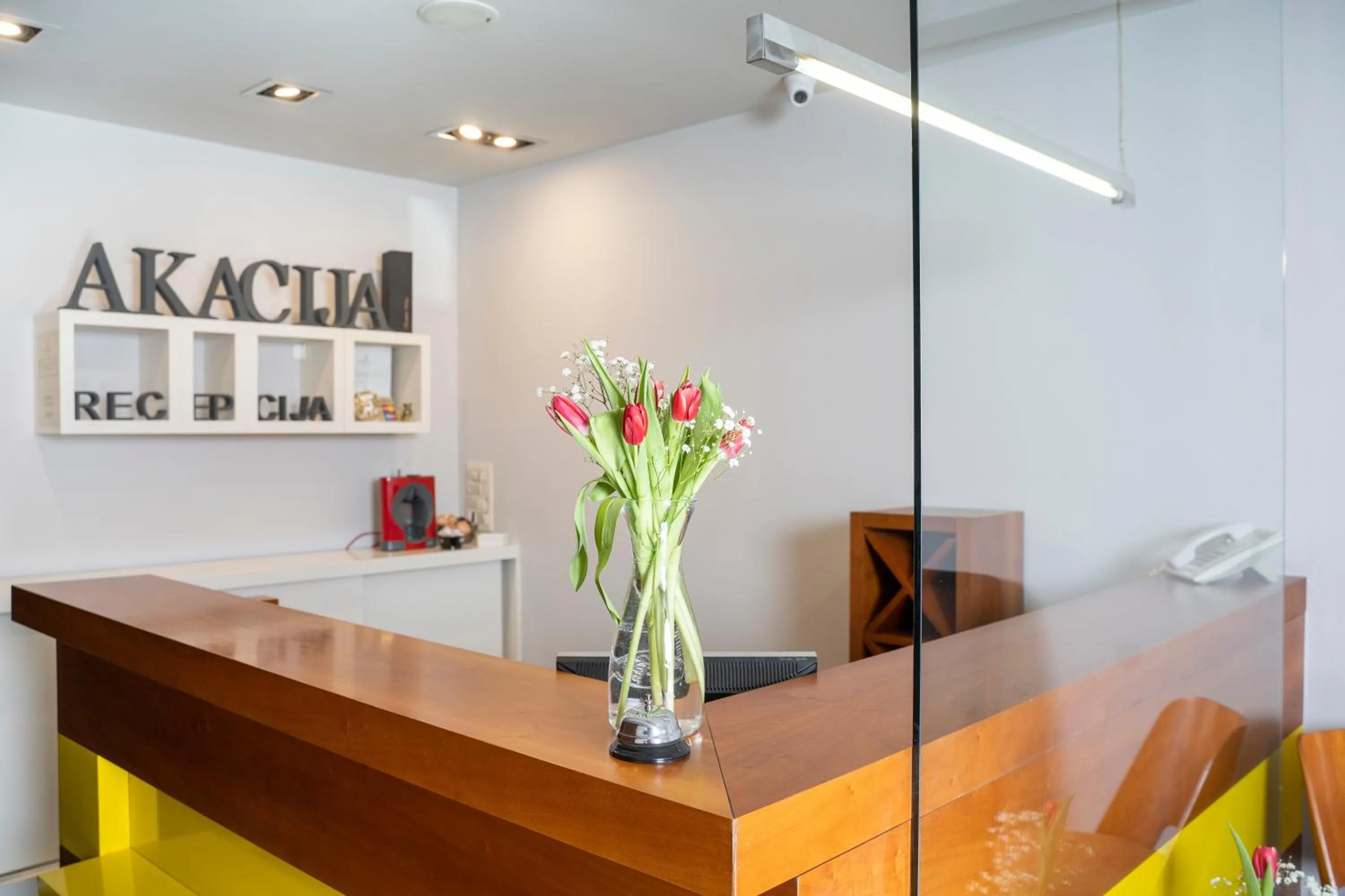 Lobby or reception in Akacija Luxury Suites