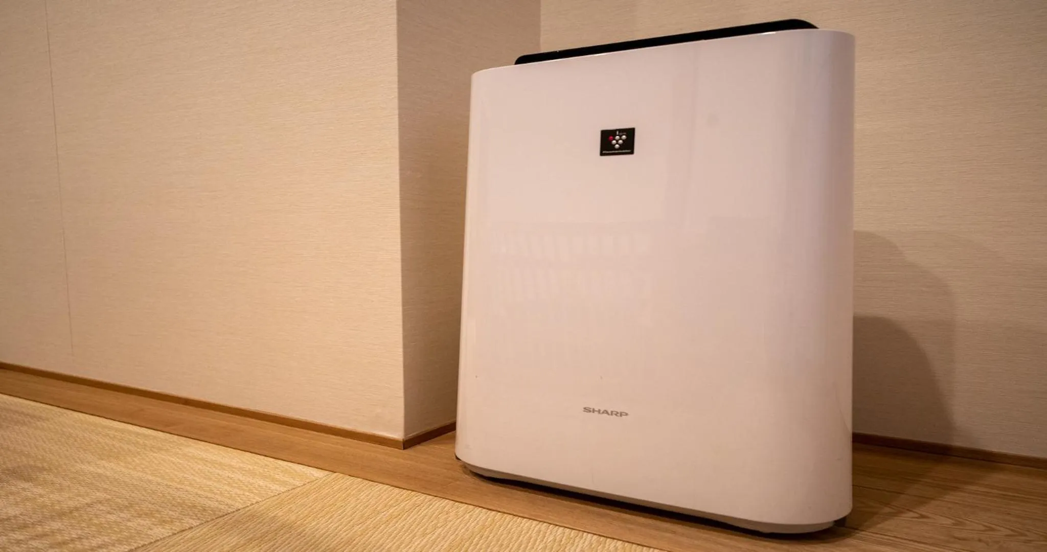 Photo of the whole room in Kyoto Hot Spring Hatoya Zuihokaku Hotel