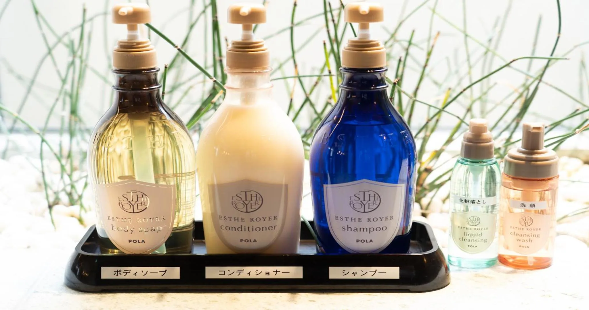 Hot Spring Bath in Kyoto Hot Spring Hatoya Zuihokaku Hotel