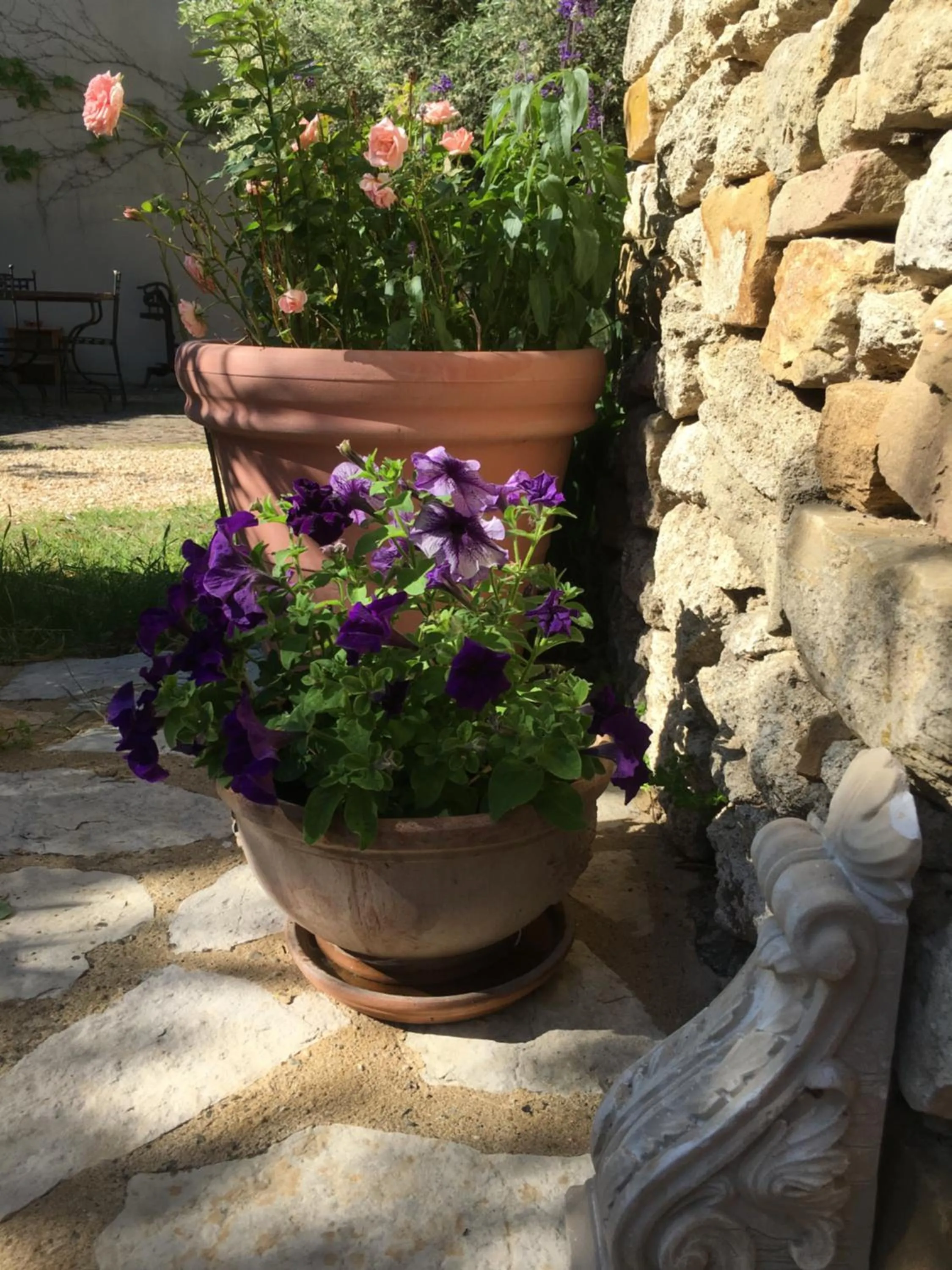Balcony/Terrace in Les Olivettes le mazet
