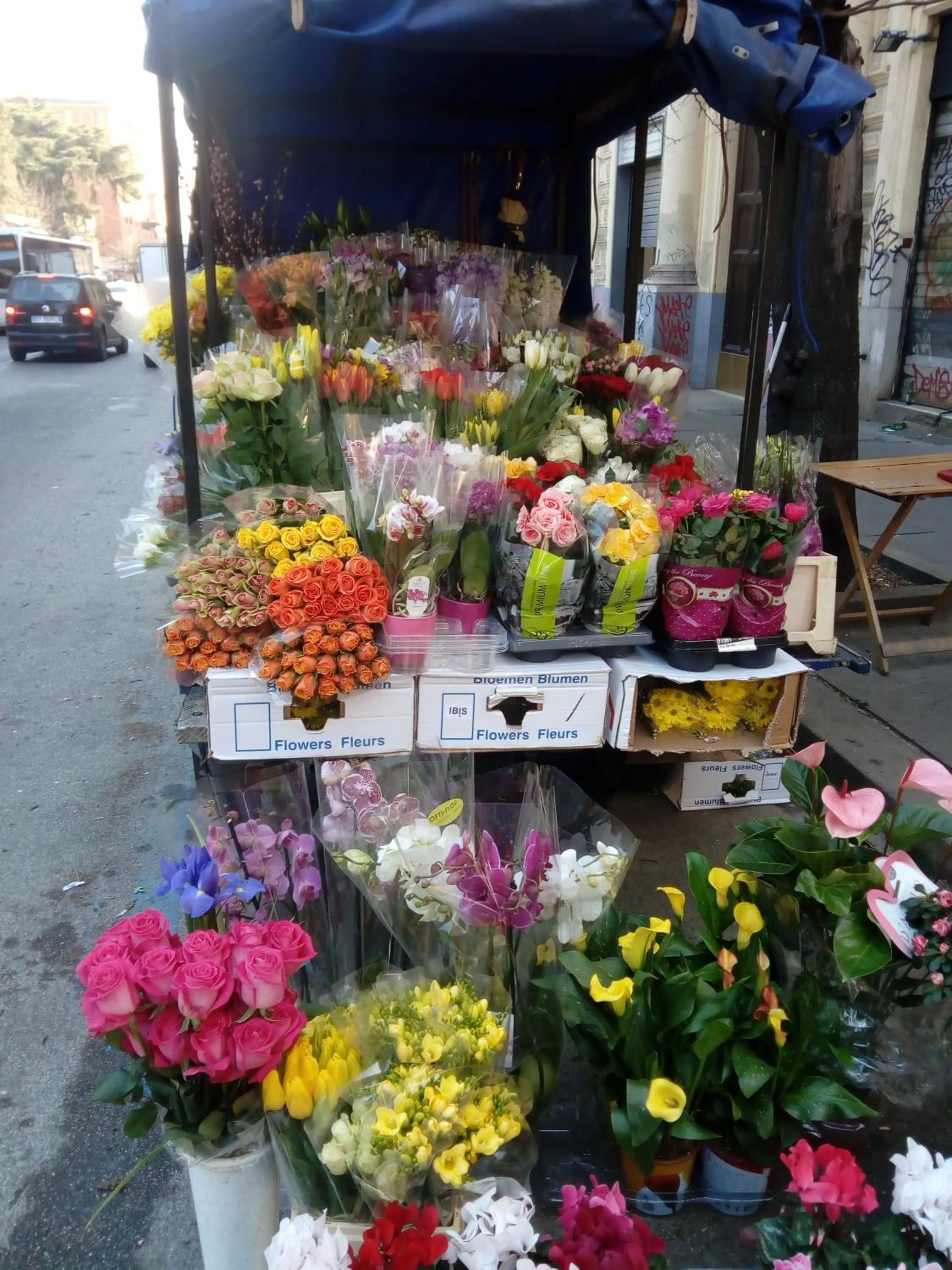 Property building in Max House