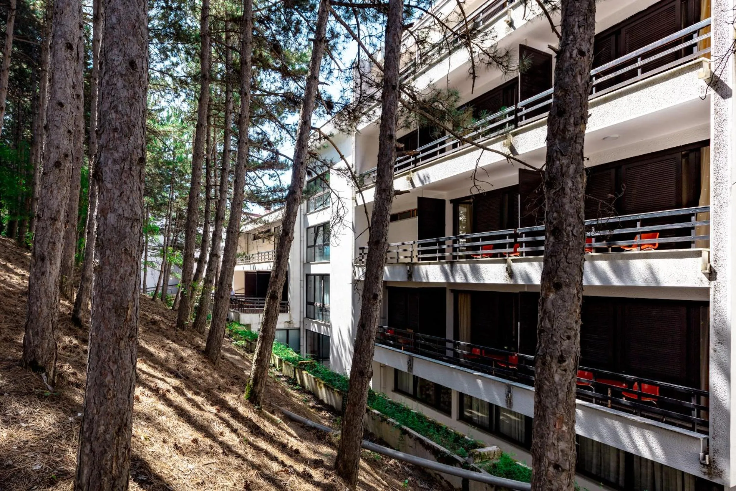 Neighbourhood in Hotel Pela