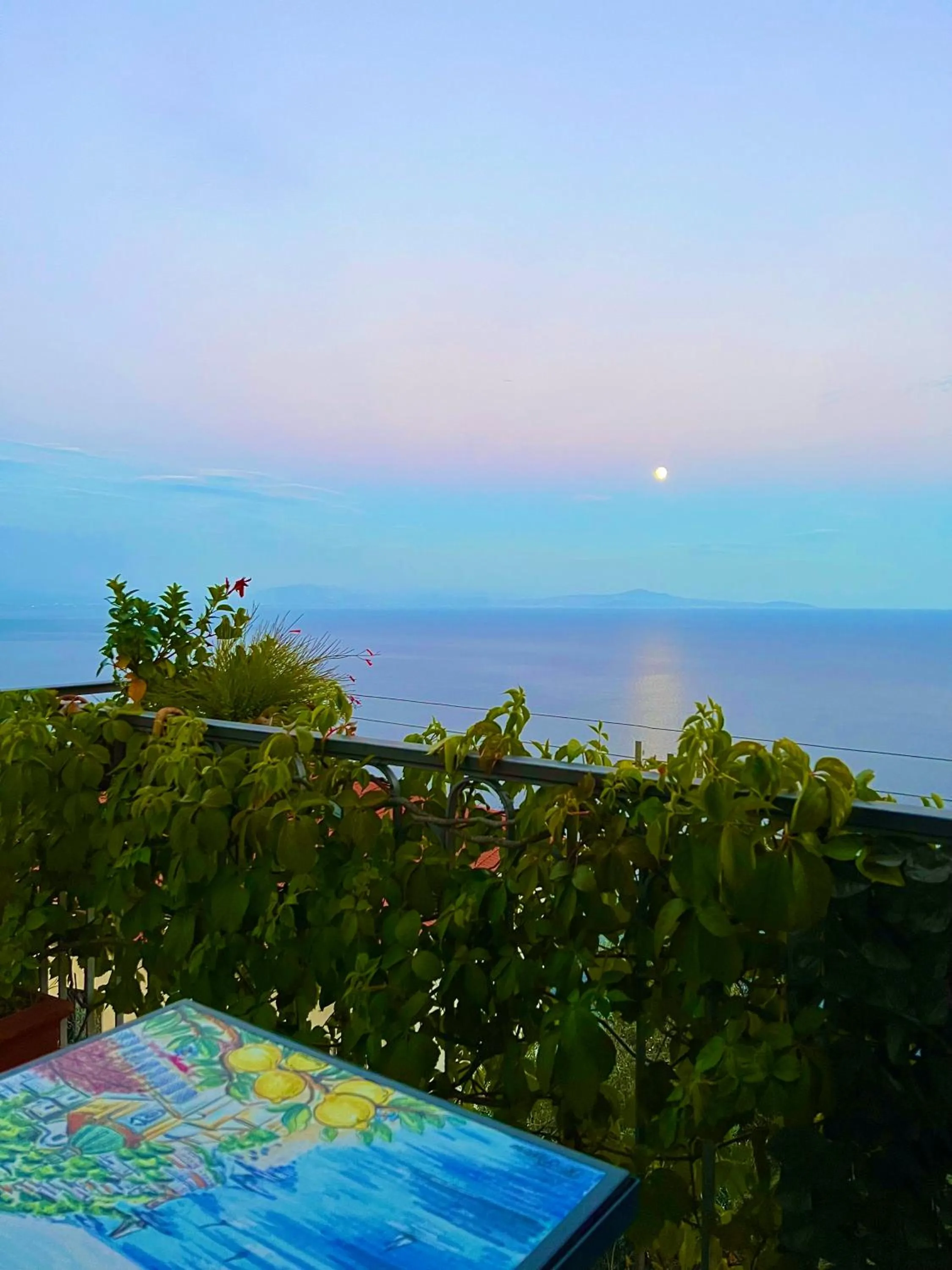 Day in B&B Il Pavone