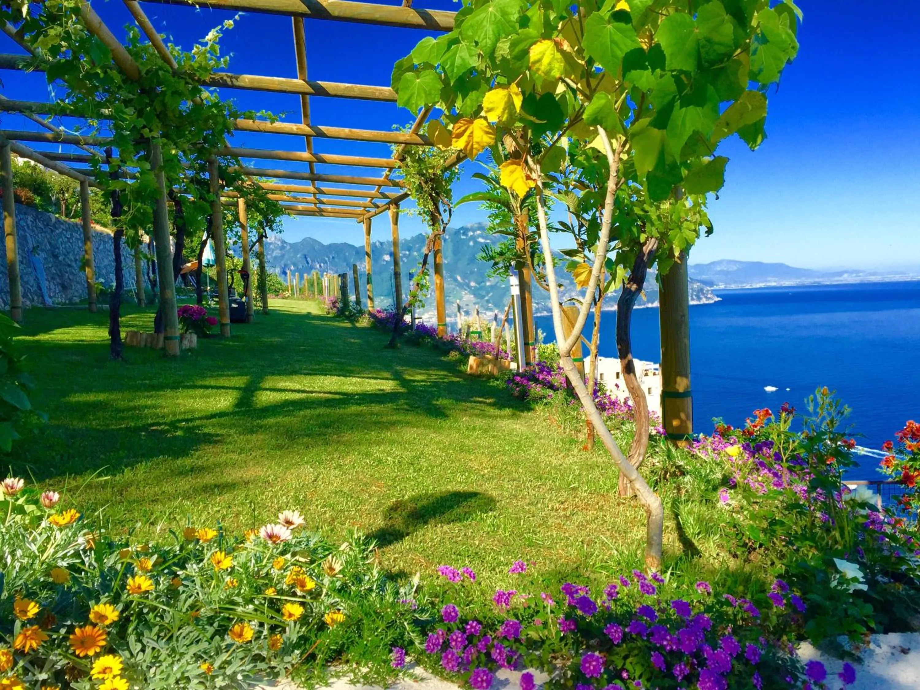 Garden in B&B Il Pavone