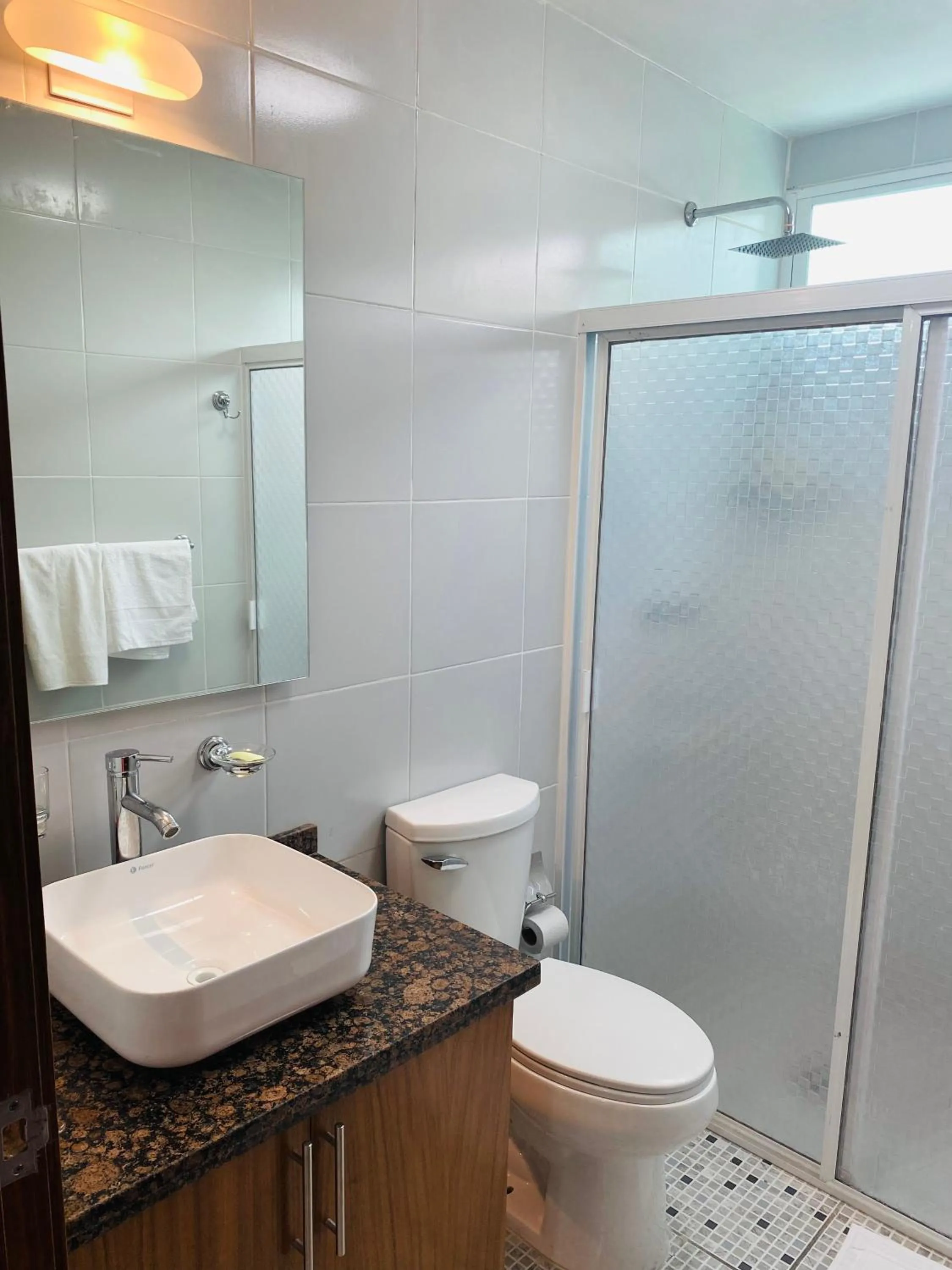 Hostal Guadalajara Cosmopolitan Providencia