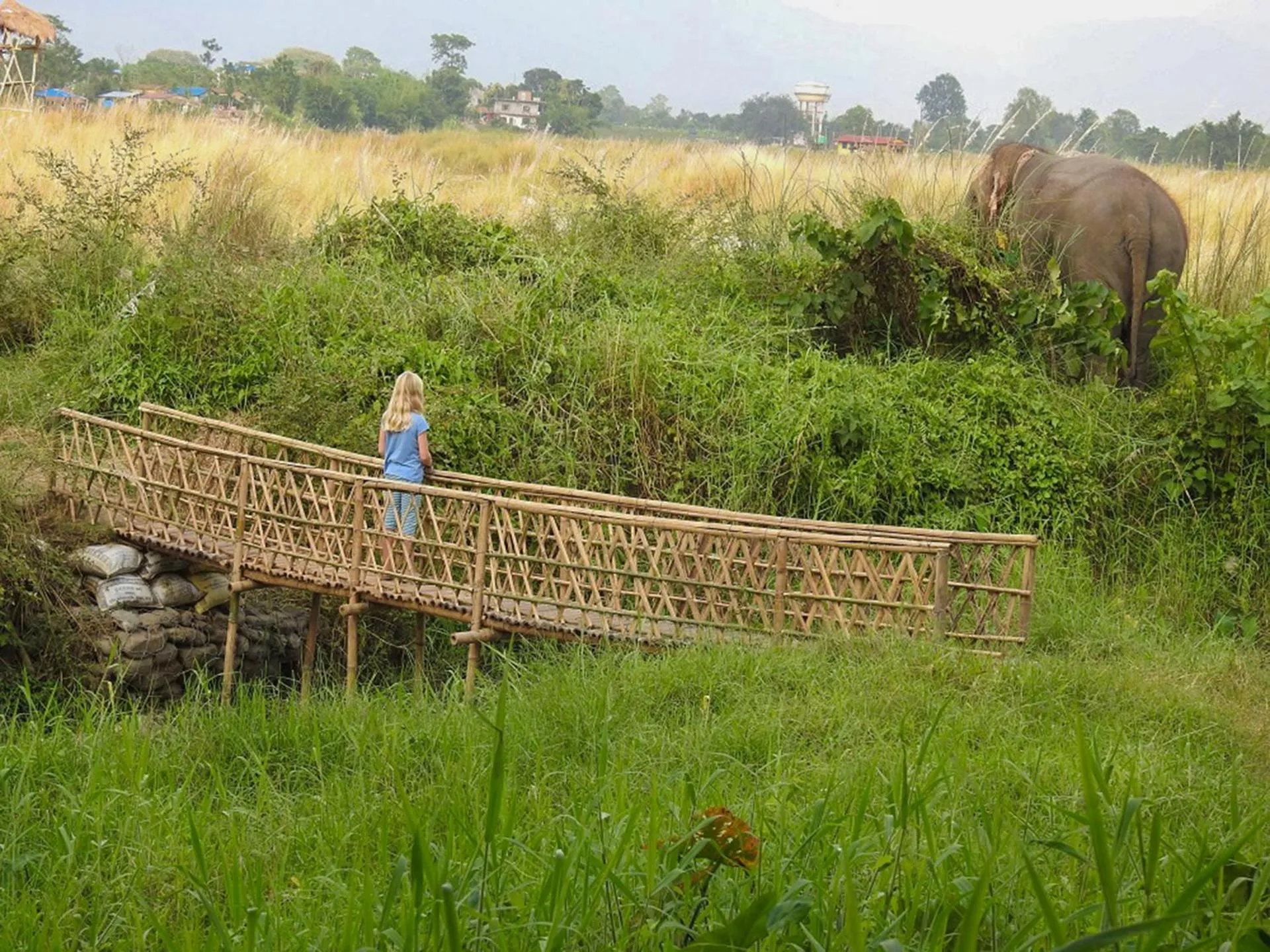 Activities in Sapana Village Lodge