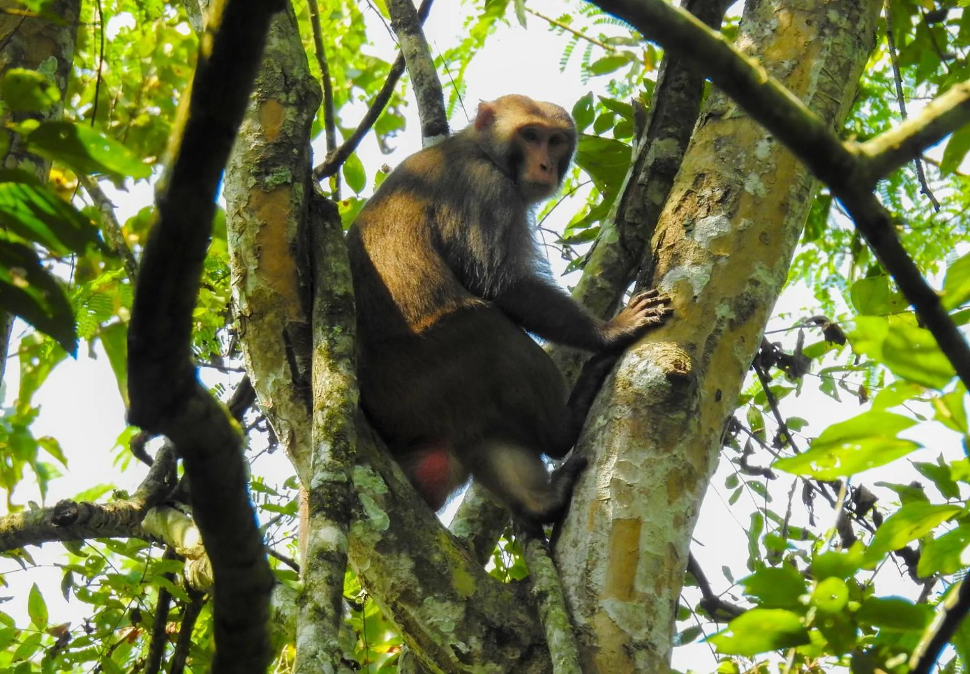 Activities in Sapana Village Lodge