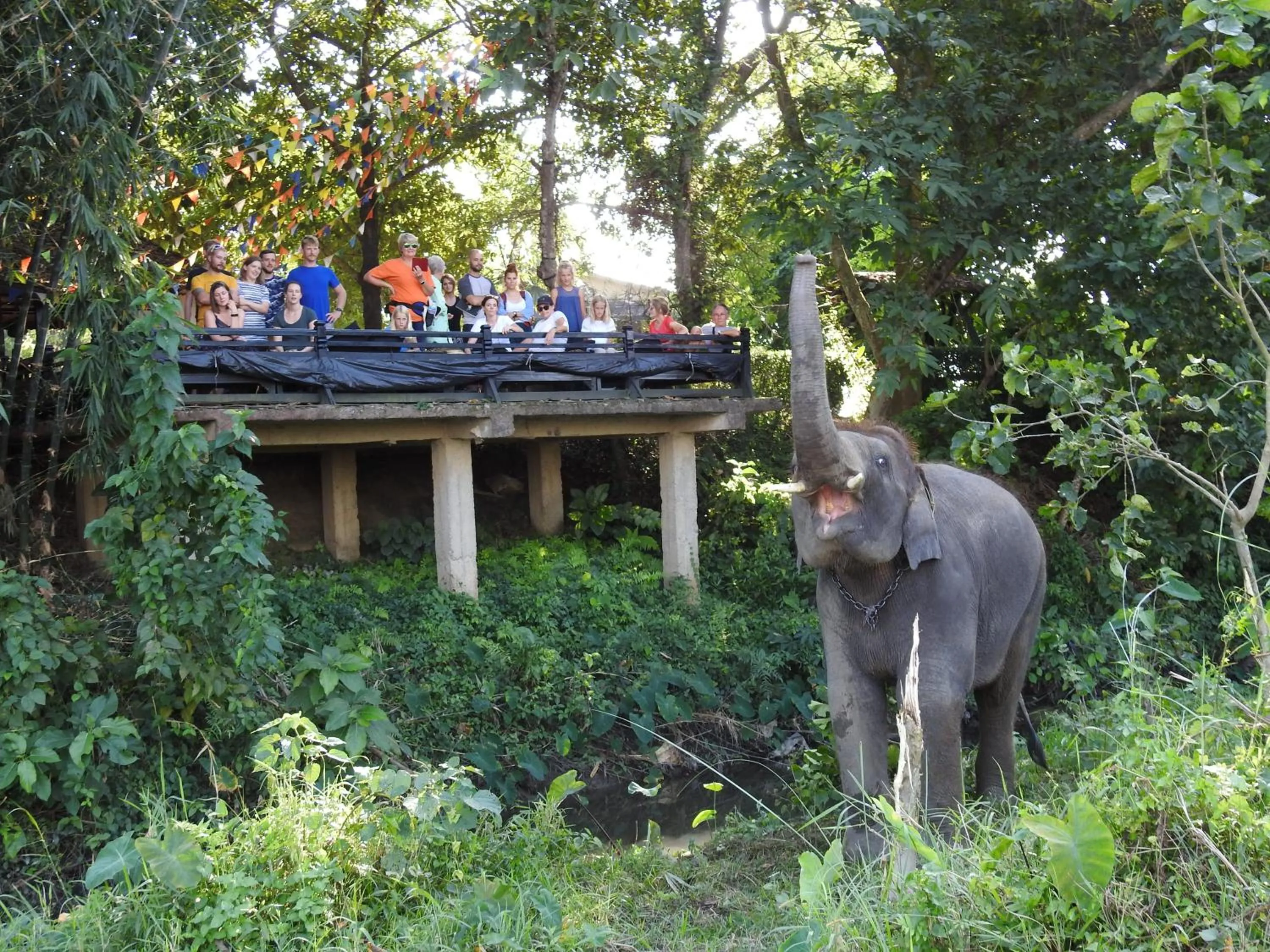 Garden in Sapana Village Lodge