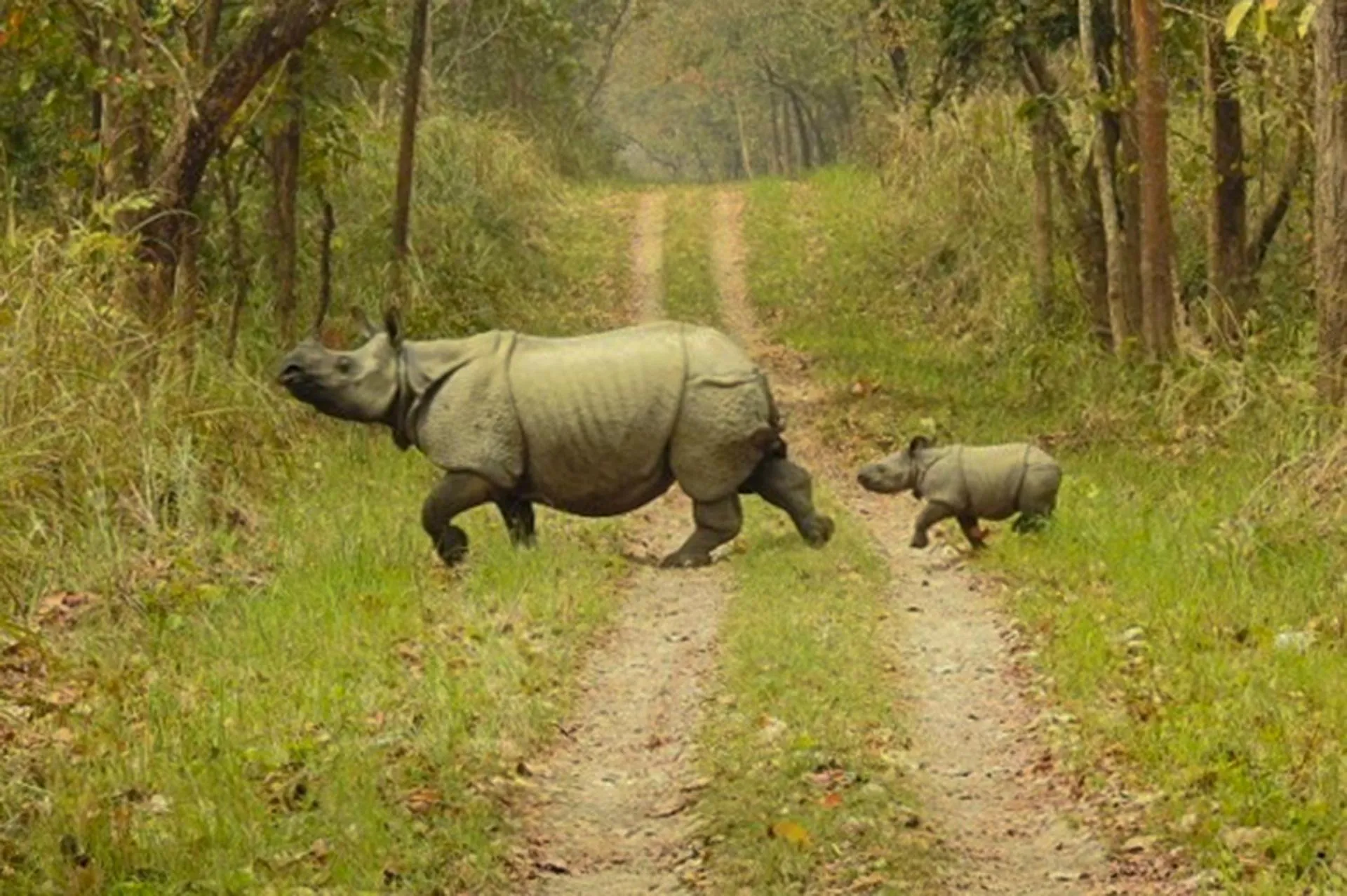 Activities in Sapana Village Lodge