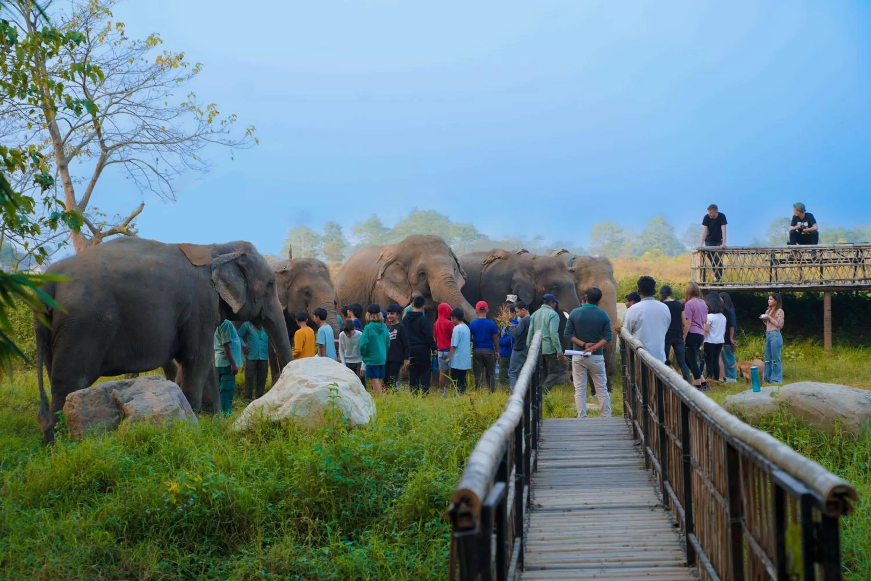 Activities in Sapana Village Lodge