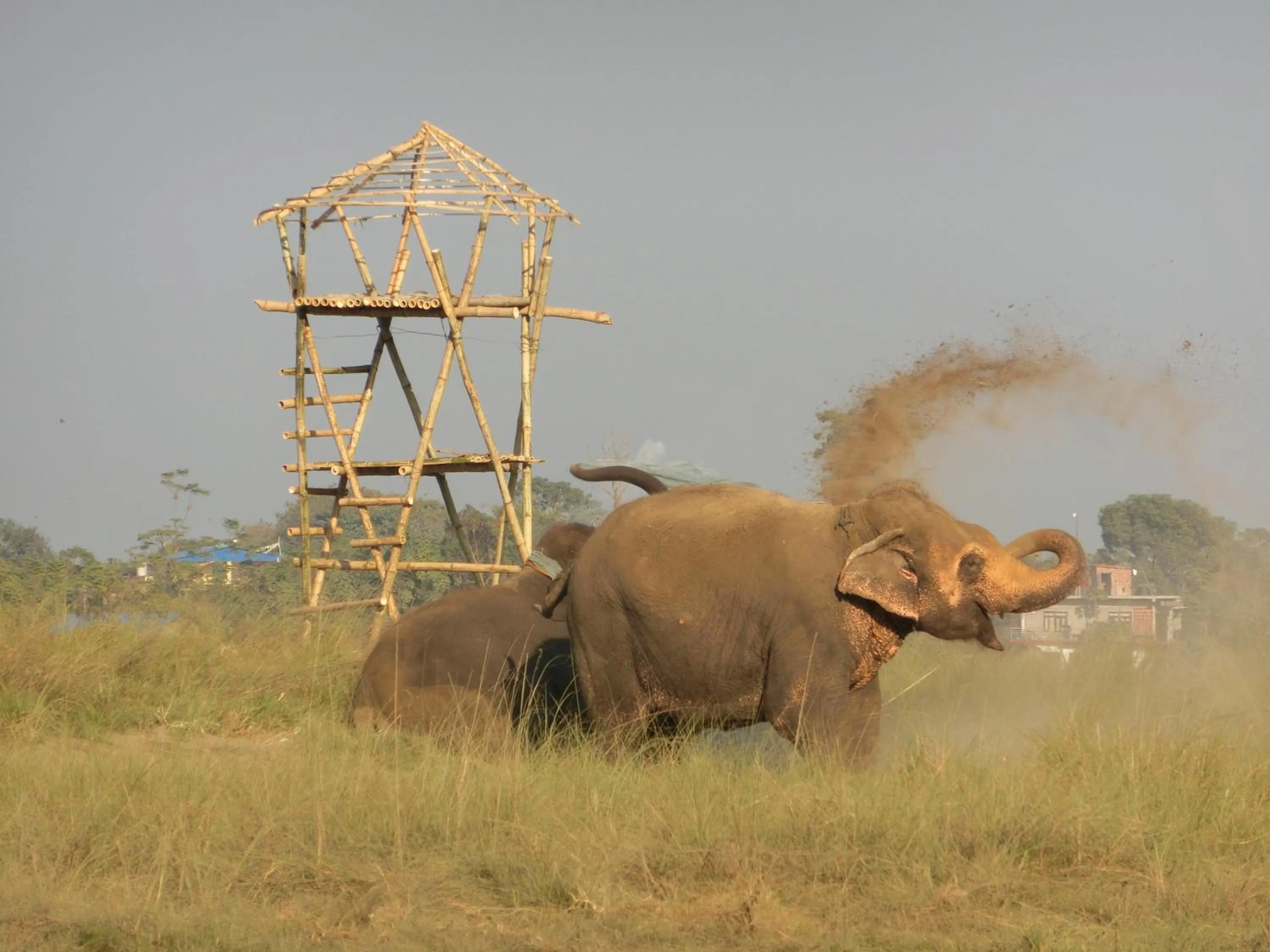 Garden view in Sapana Village Lodge