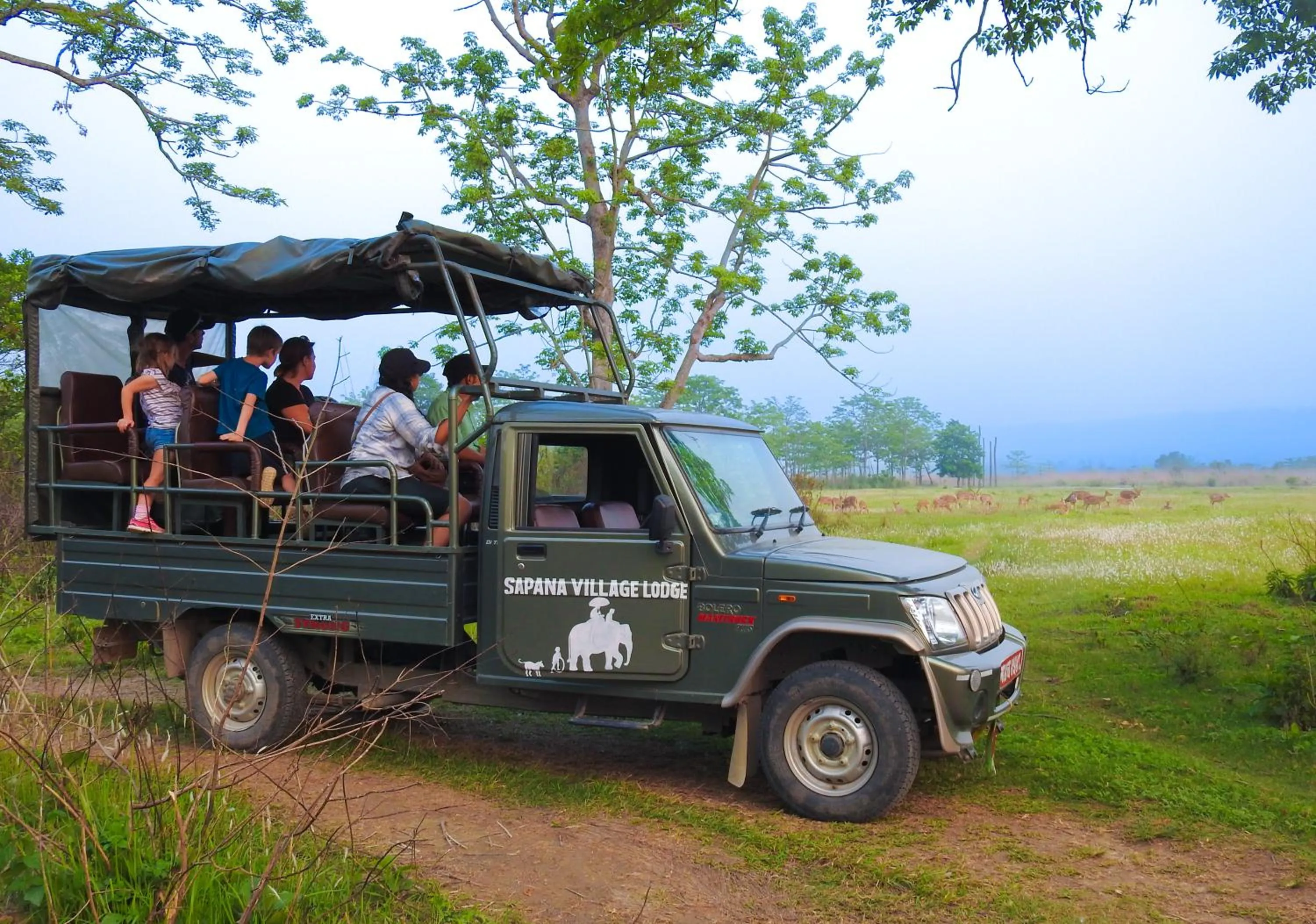 Activities in Sapana Village Lodge