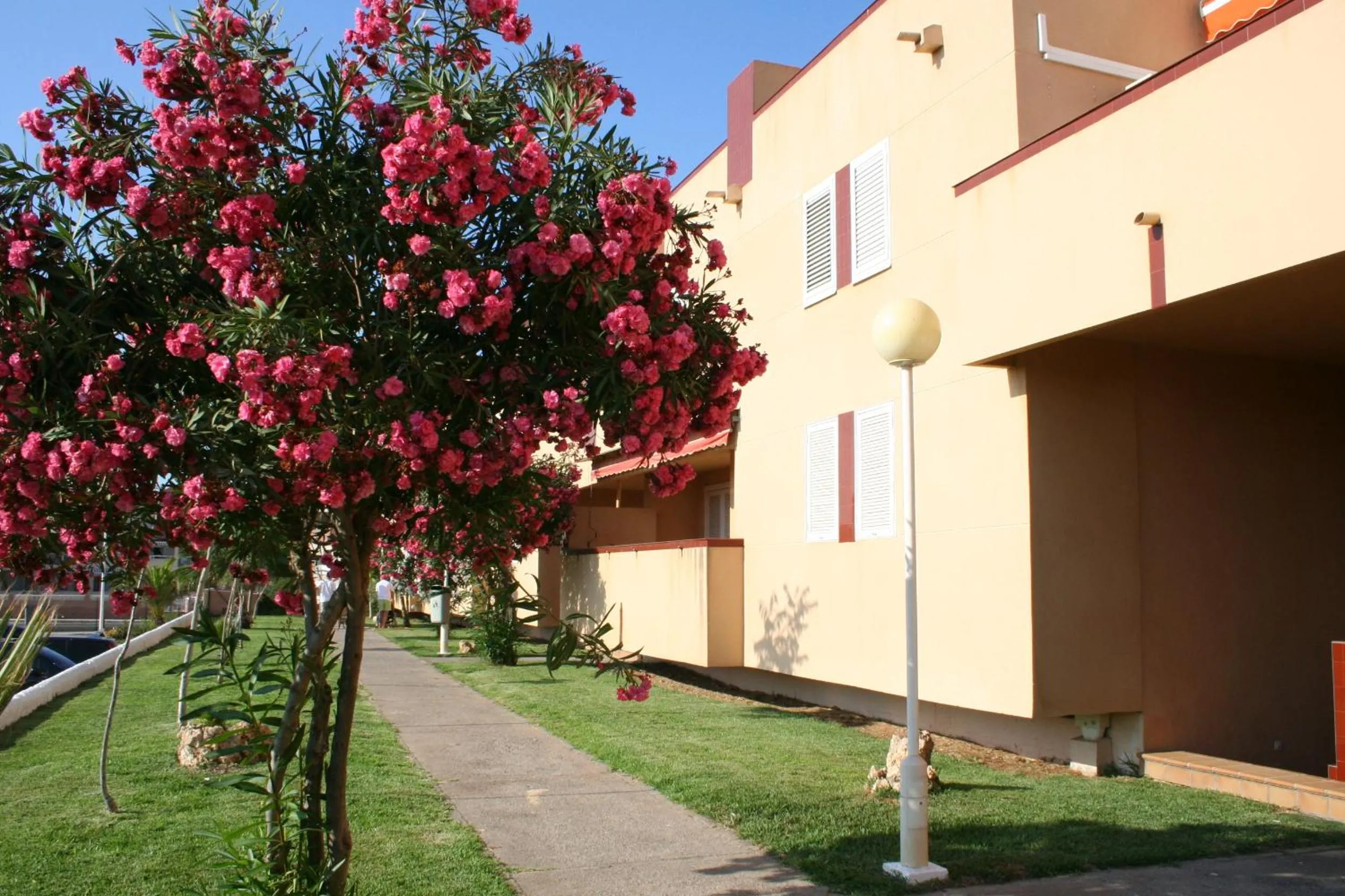 Lobby or reception in Inmovecos apart con piscina Alisios 227