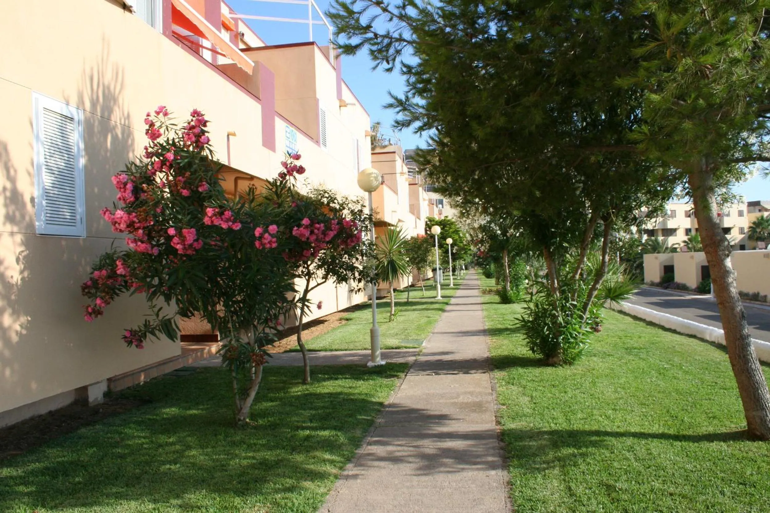Garden in Inmovecos apart con piscina Alisios 227