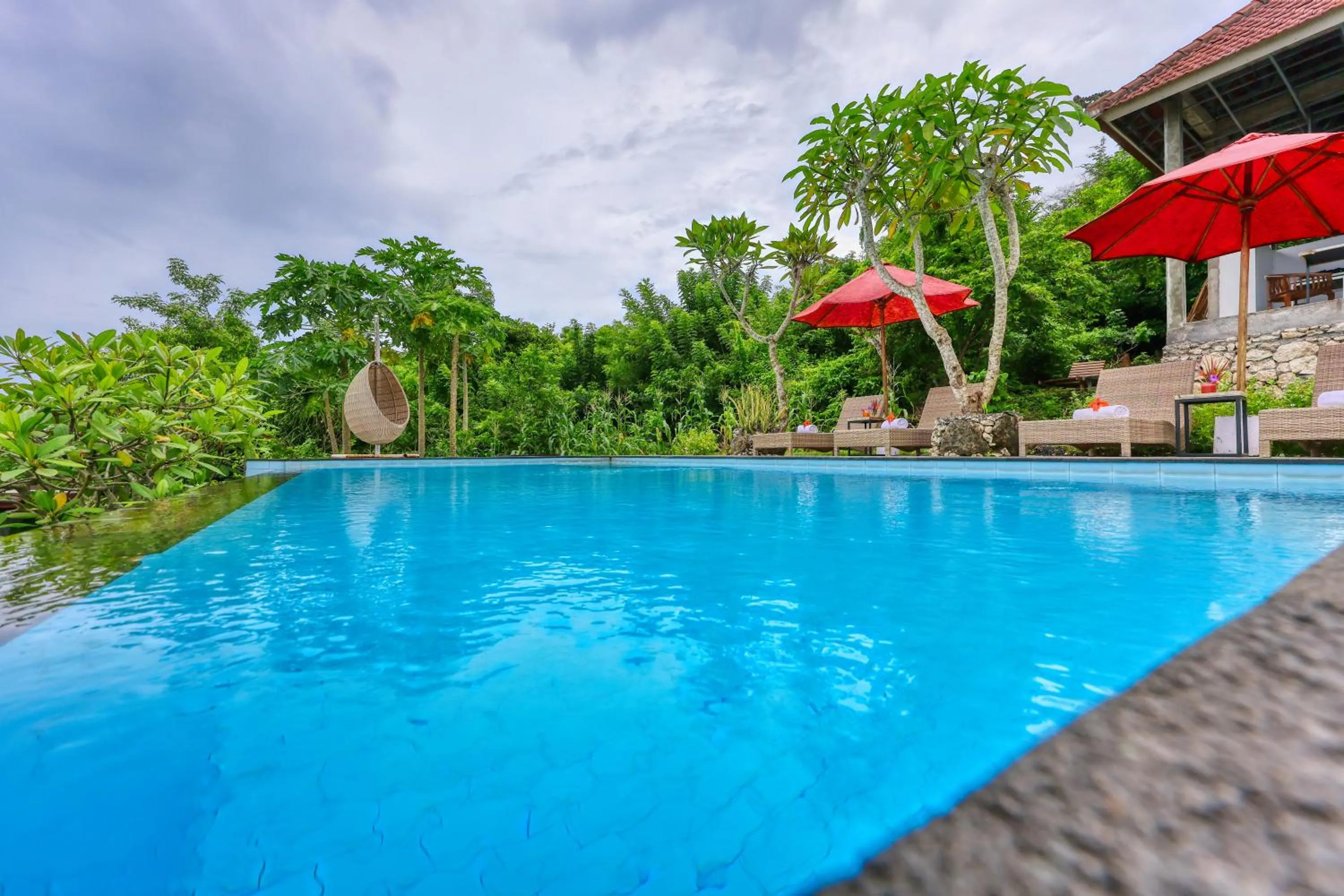 Swimming pool in Petak Cottage